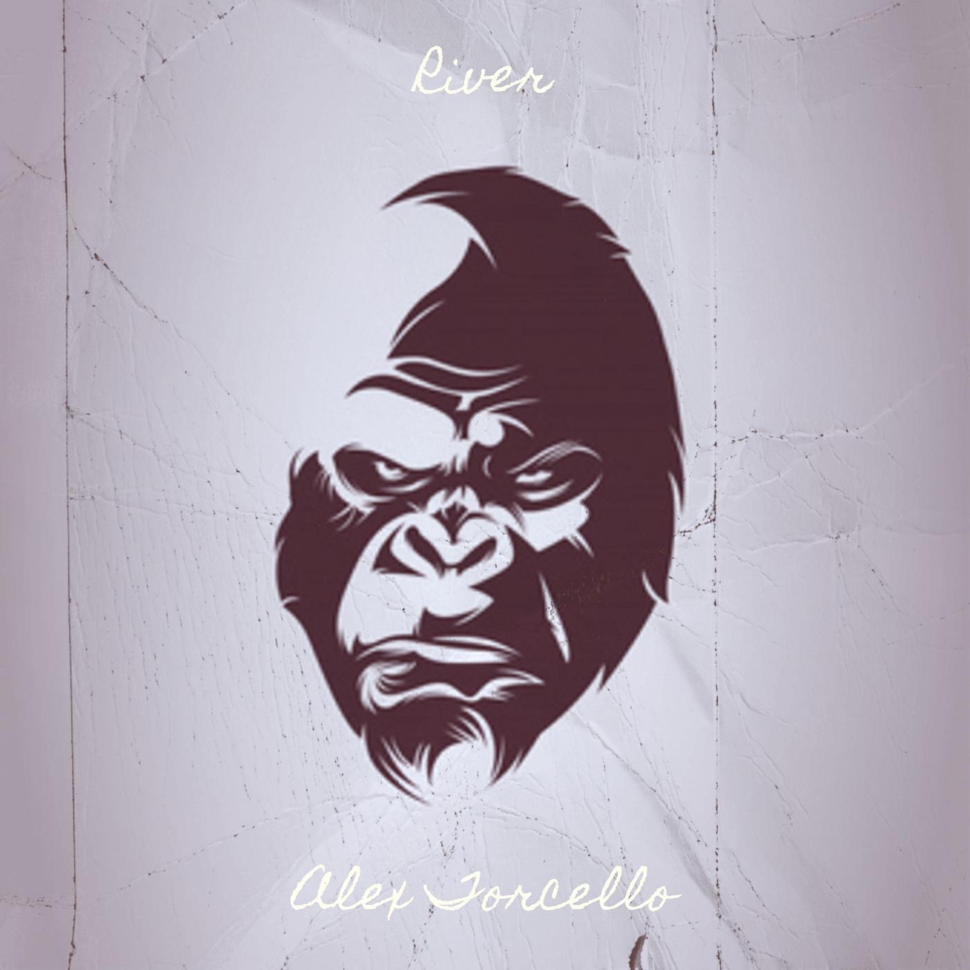 Alex Torcello