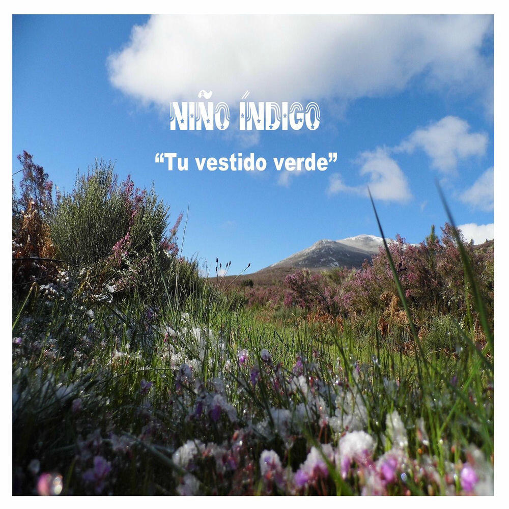 Релиз Tu vestido verde