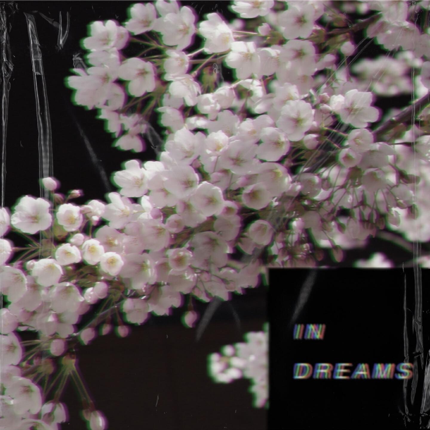 Релиз In Dreams