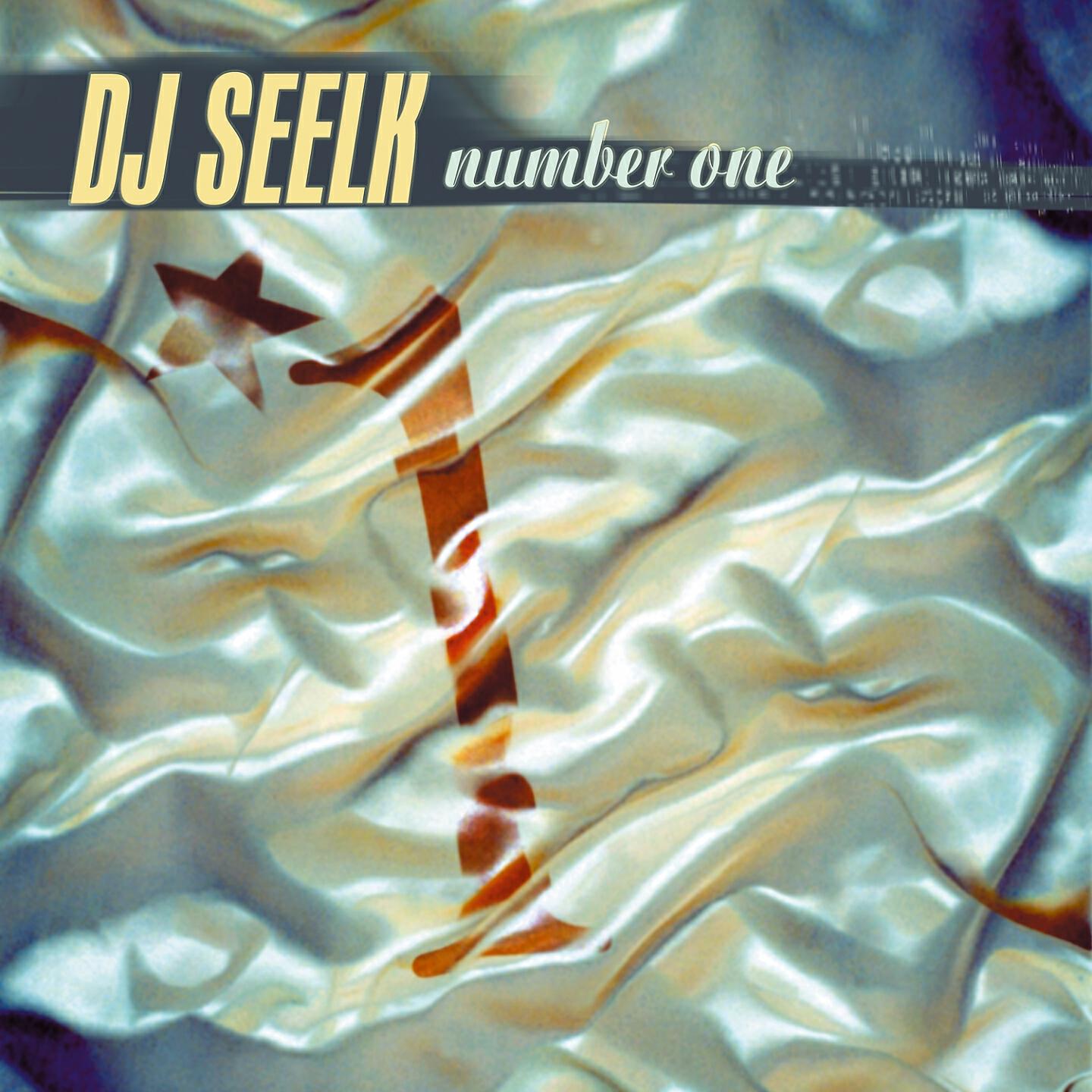 DJ Seelk