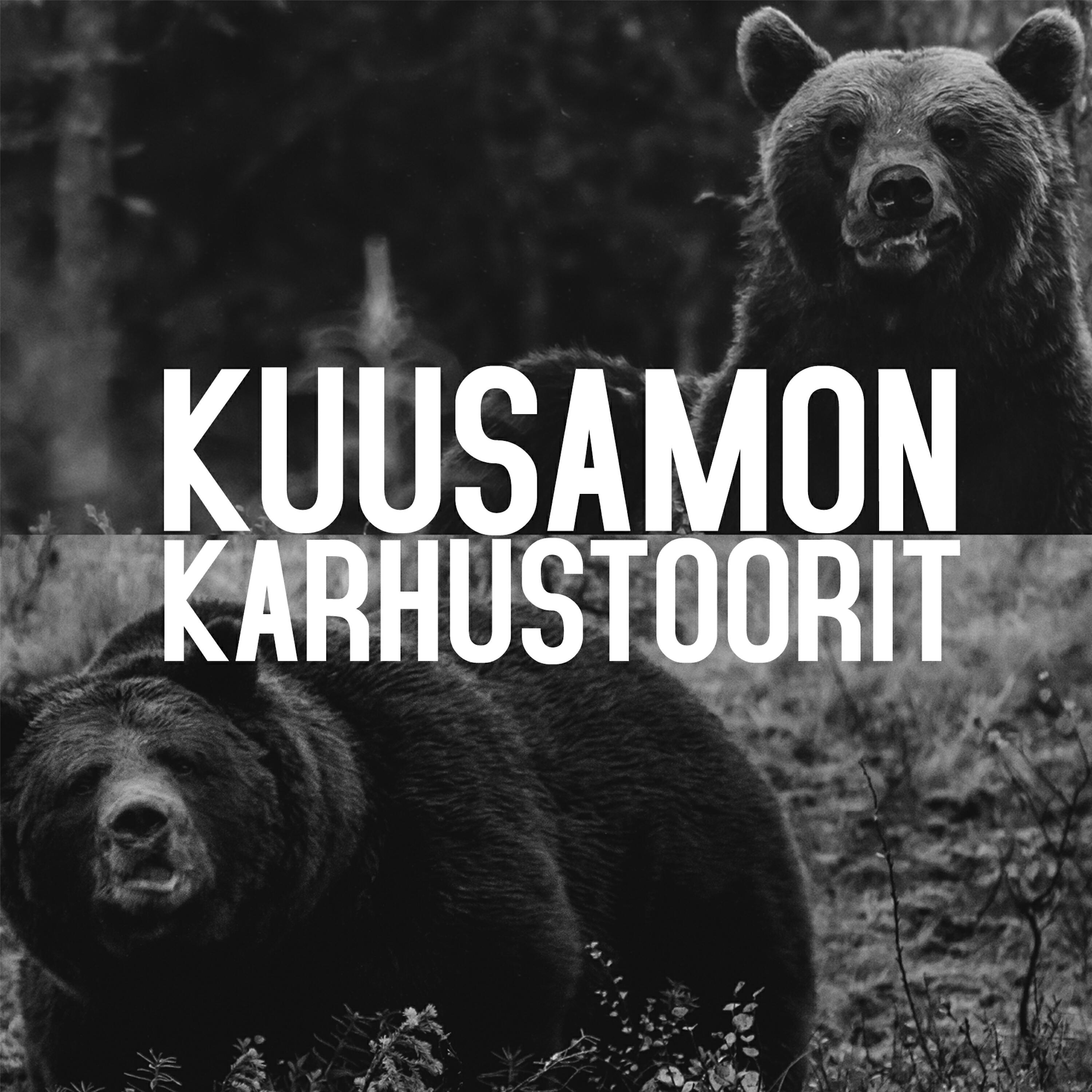 Скачать песню TRK - Kuusamon karhustoorit бесплатно в MP3 для Android и iOS