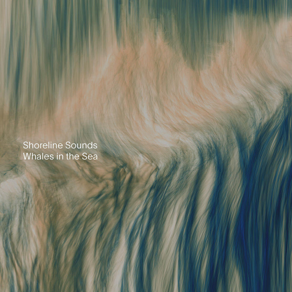 Релиз Whales in the Sea
