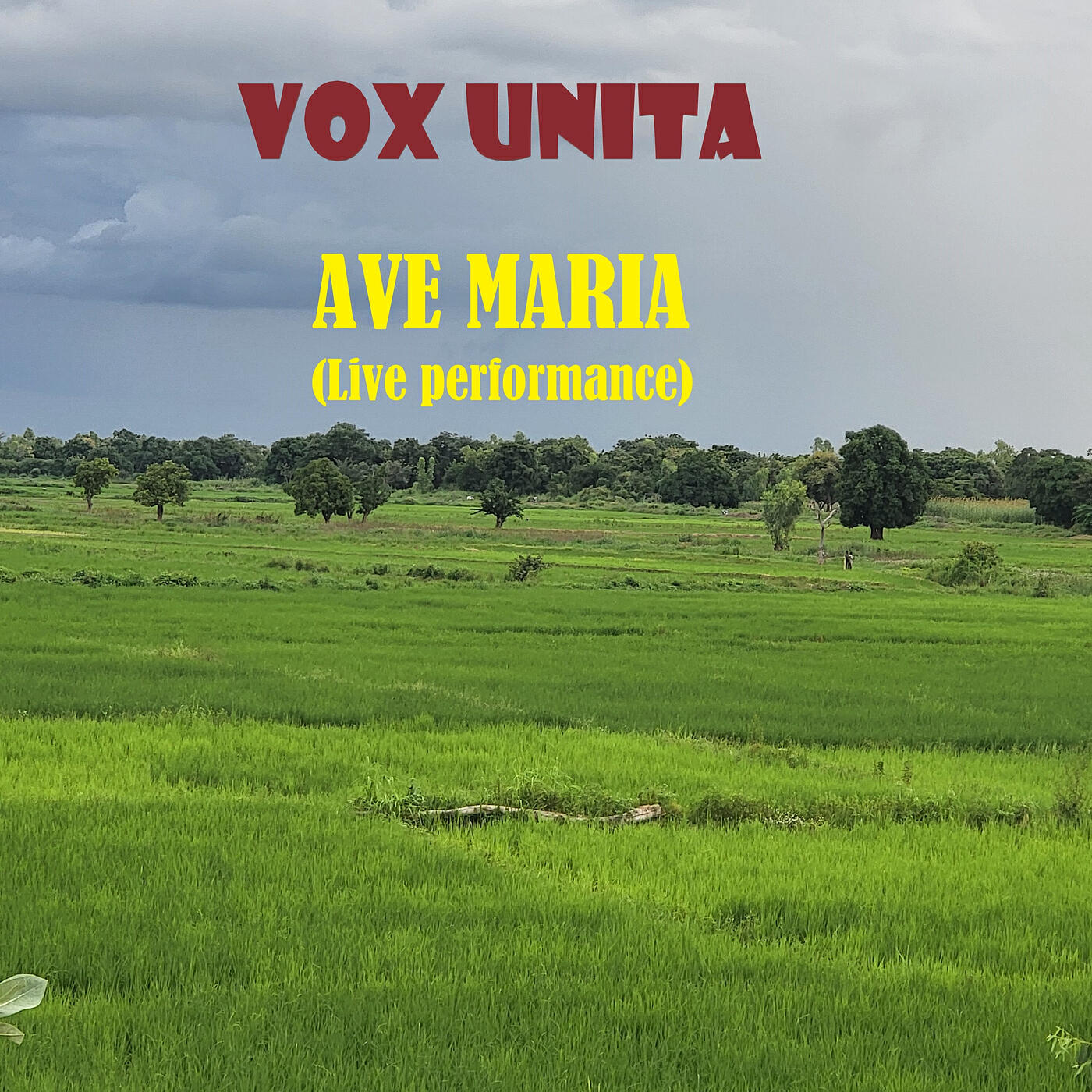Релиз AVE MARIA (Live Performance)