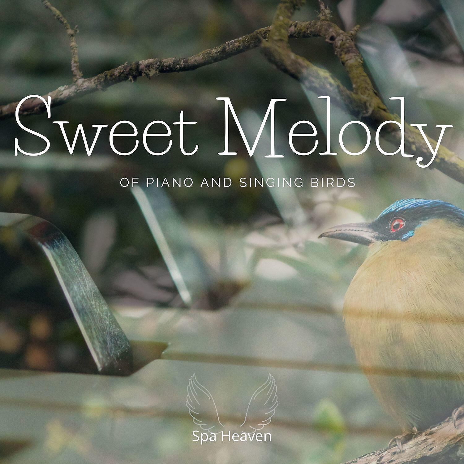 Релиз Sweet Melody of Piano and Singing Birds