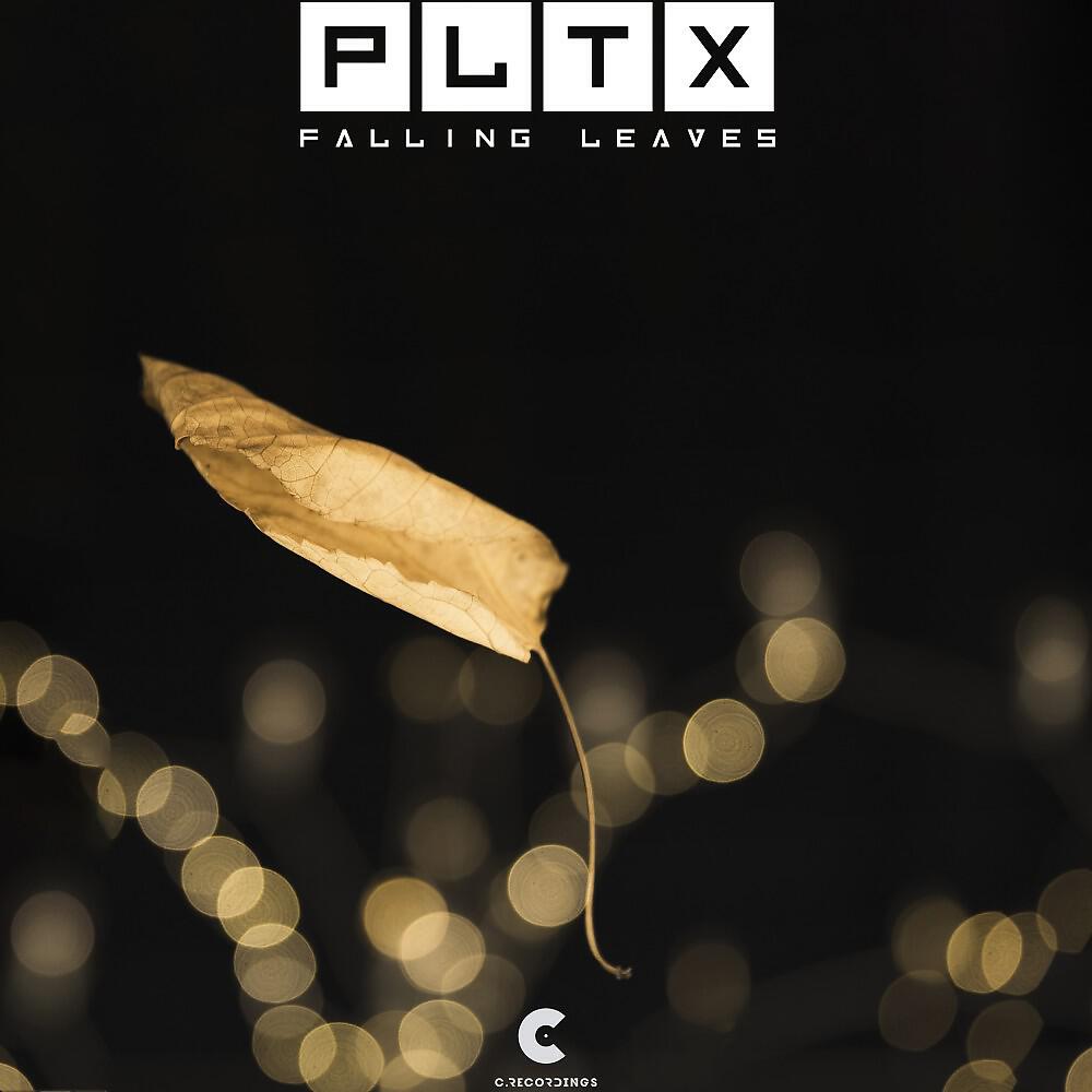 Релиз Falling Leaves