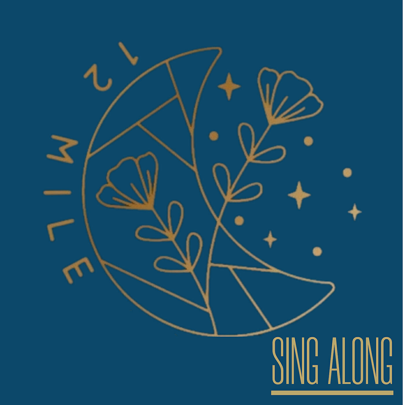 Релиз Sing Along
