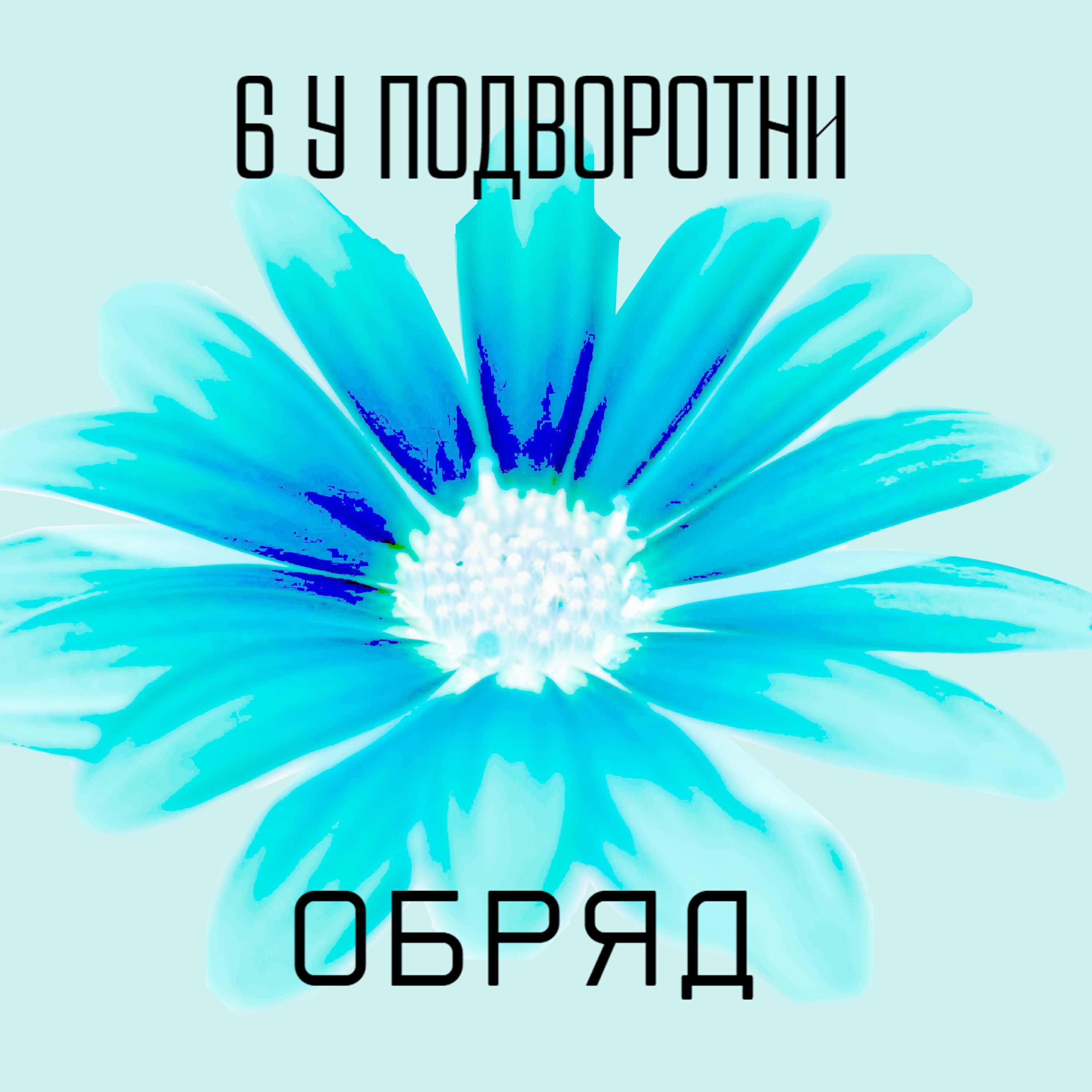 6 у подворотни