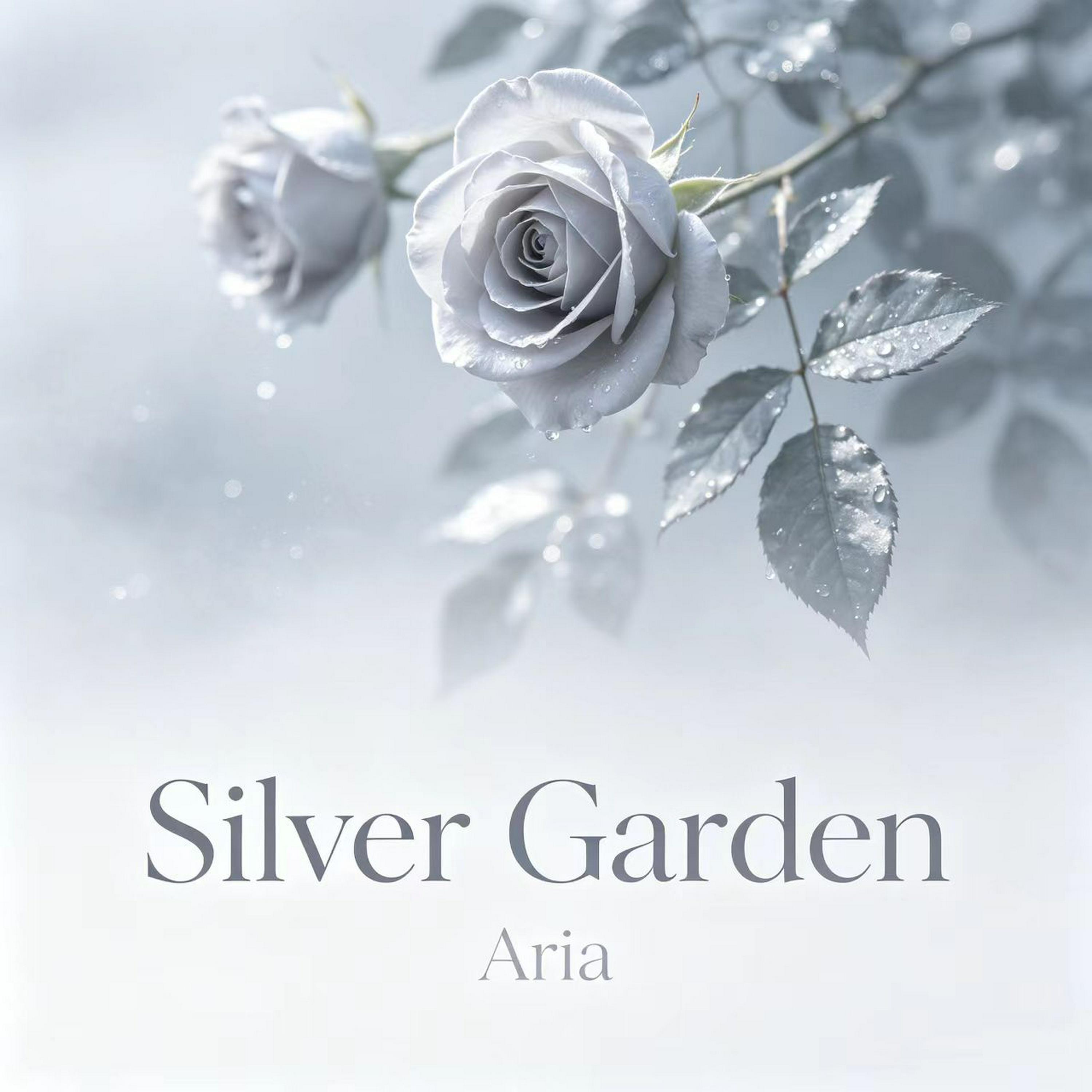 Релиз Silver Garden