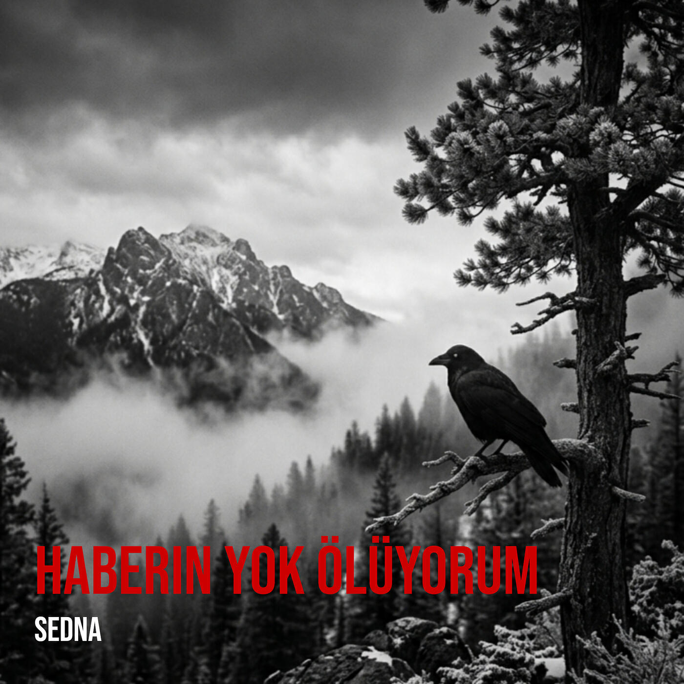 Релиз Haberin Yok Ölüyorum