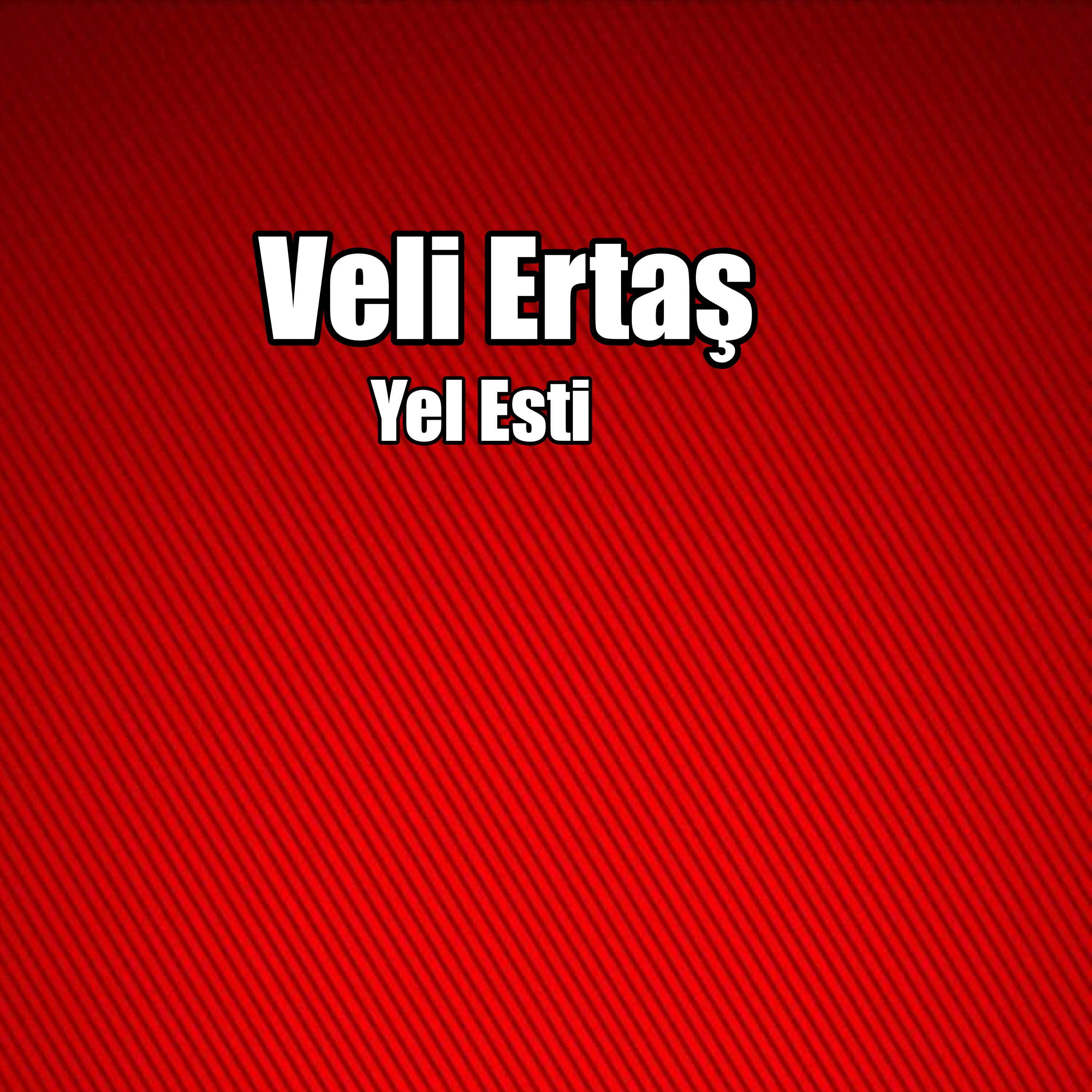 Релиз Yel Esti