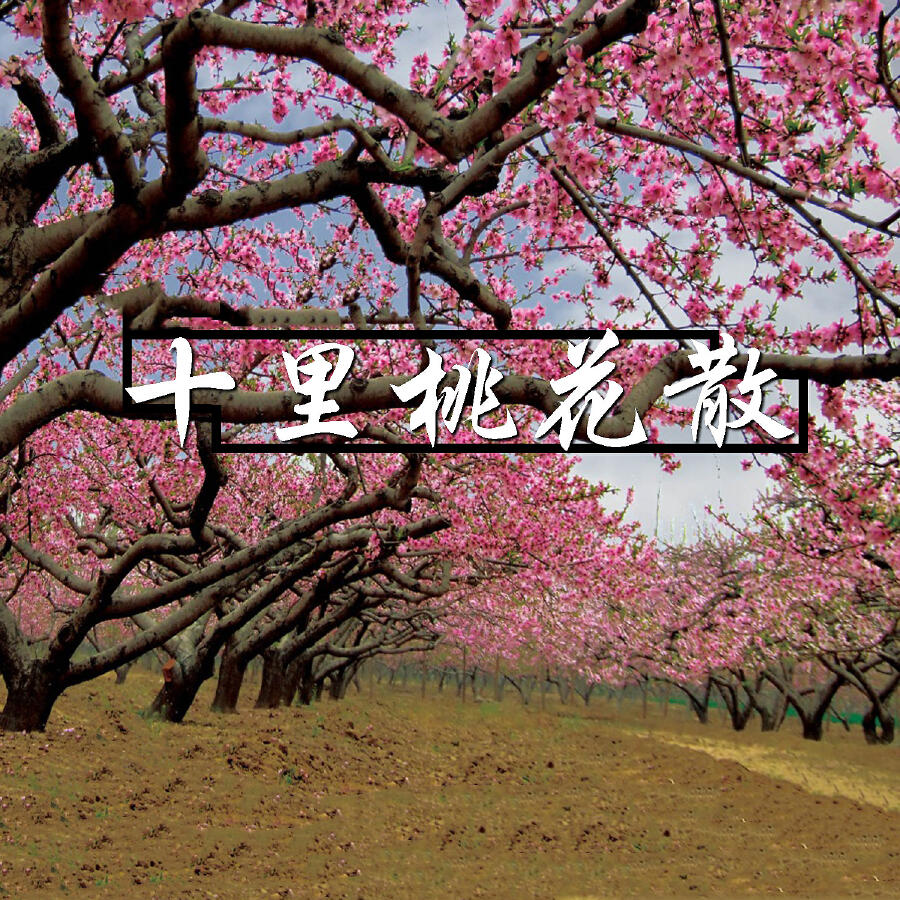 Волна по треку