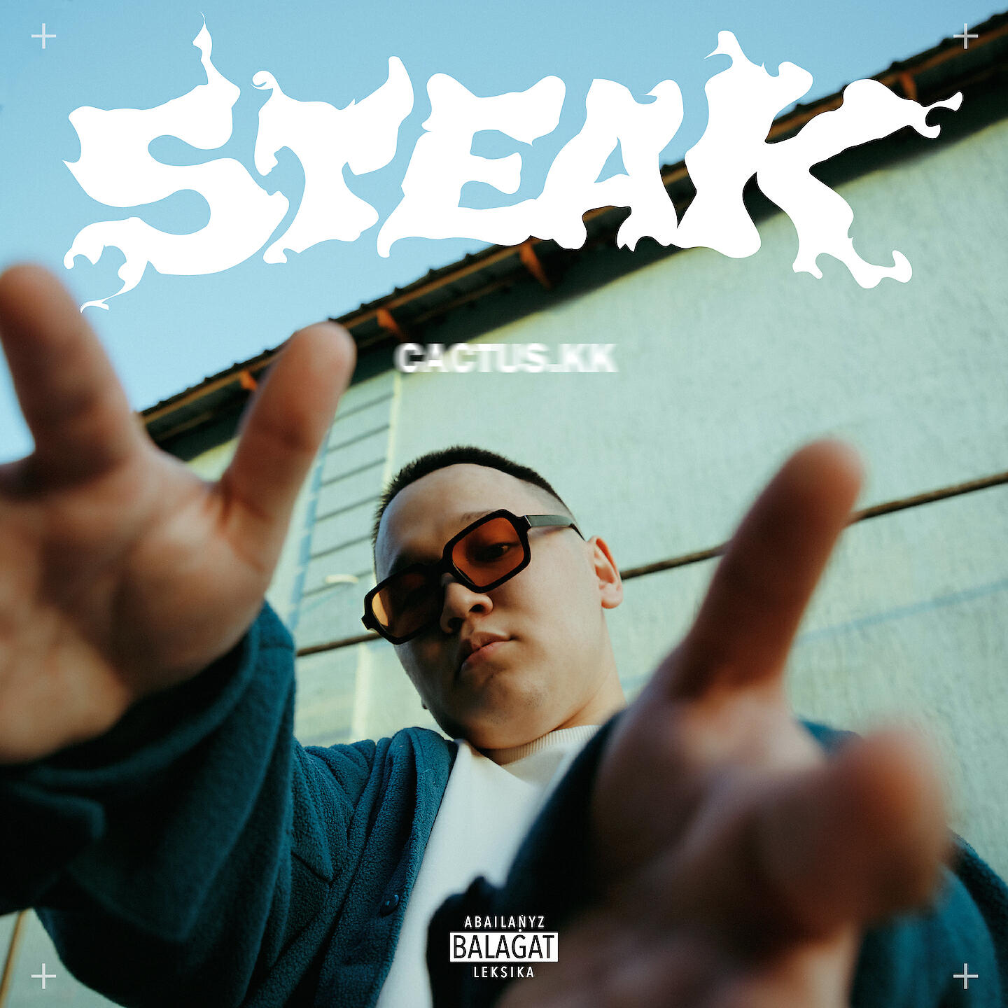 Релиз Steak