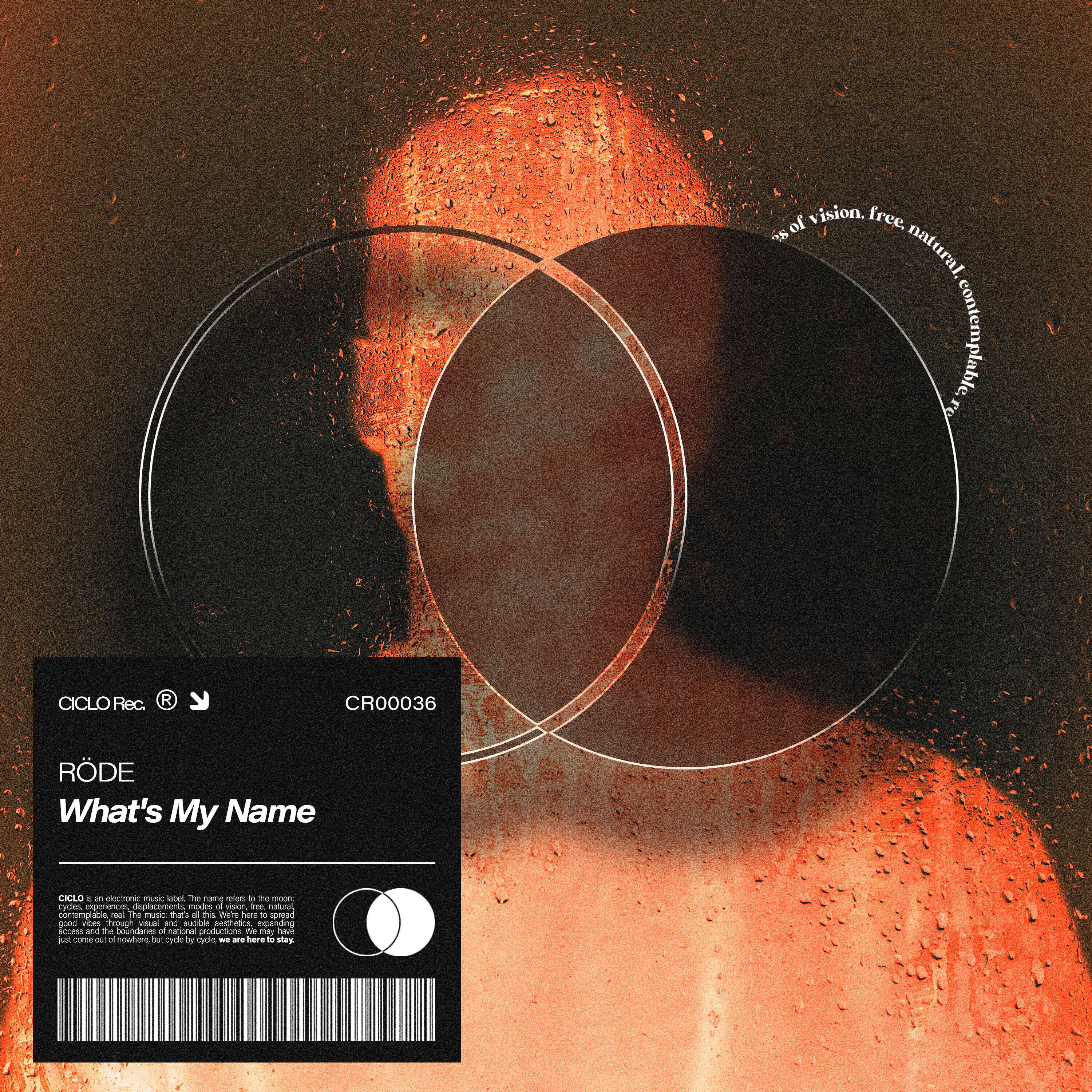 Релиз What's My Name