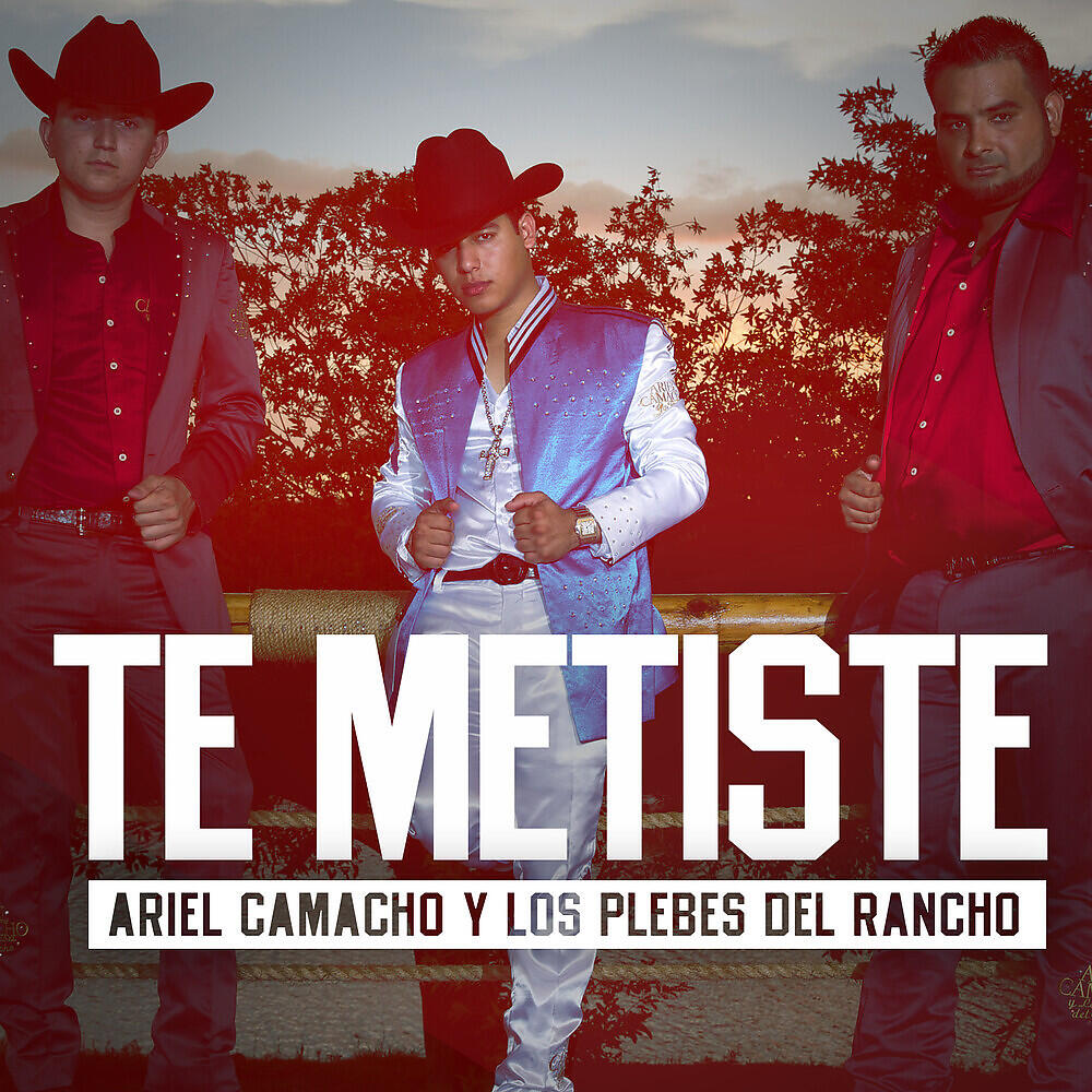 Релиз Te Metiste
