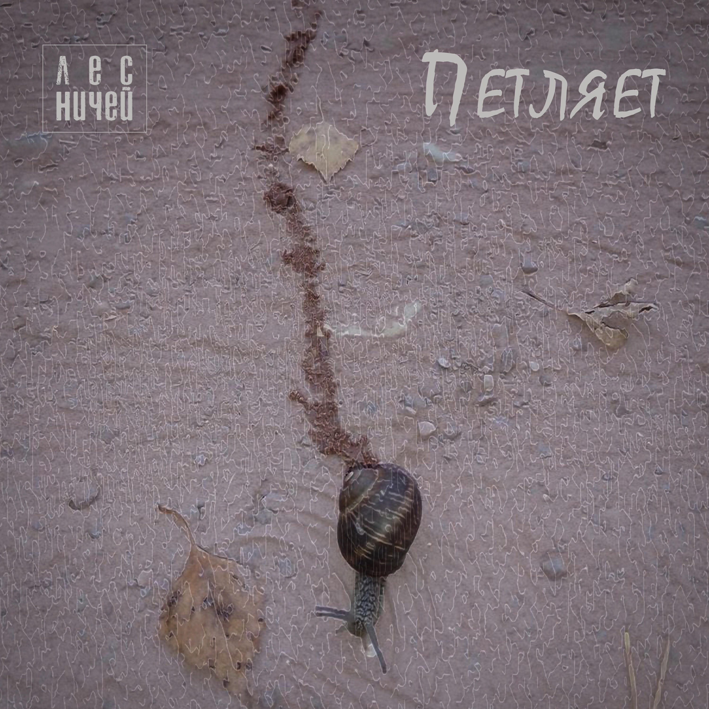 Релиз Петляет