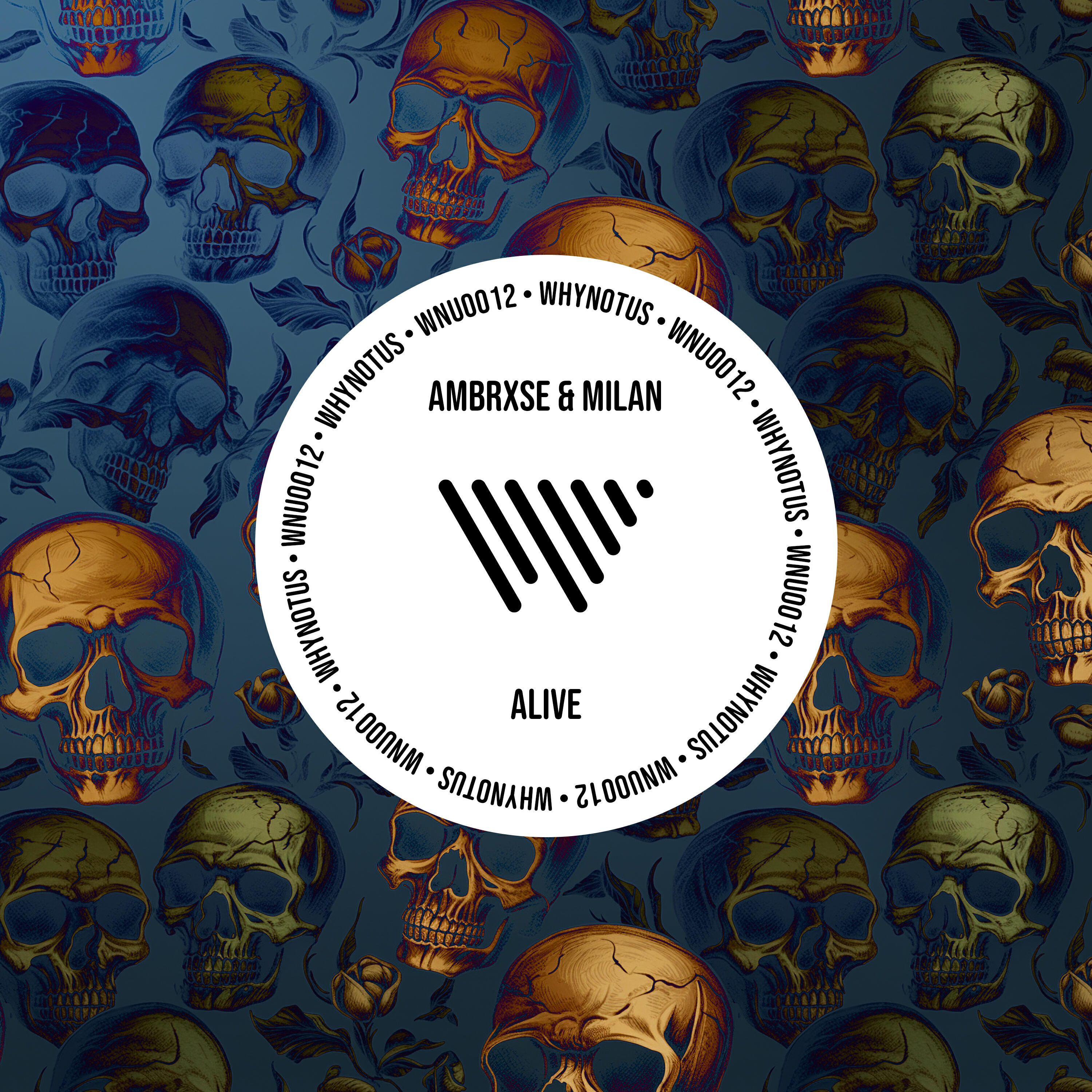 Ambrxse