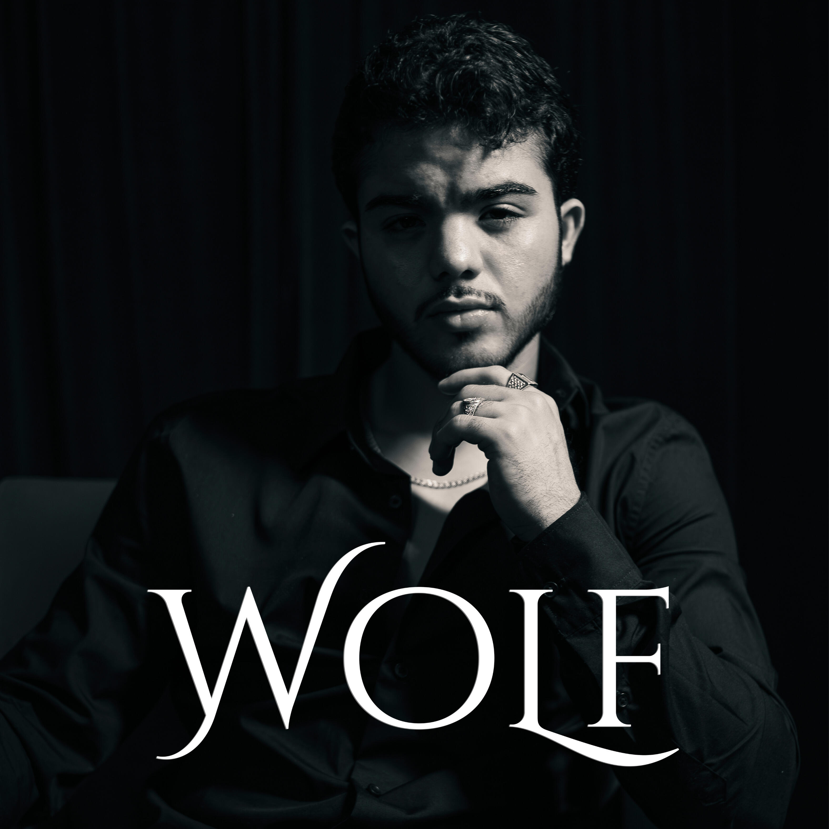 Релиз Wolf