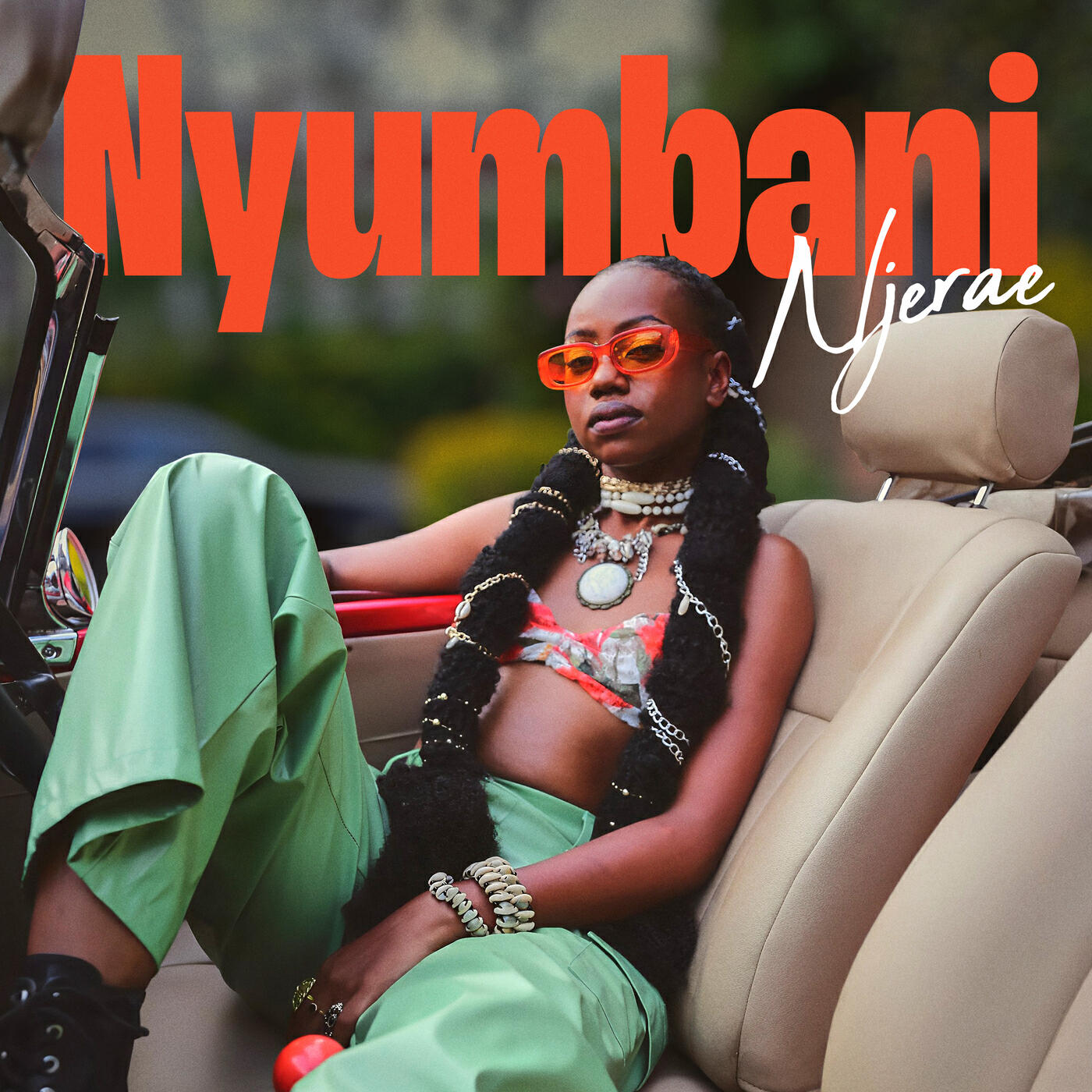 Релиз Nyumbani
