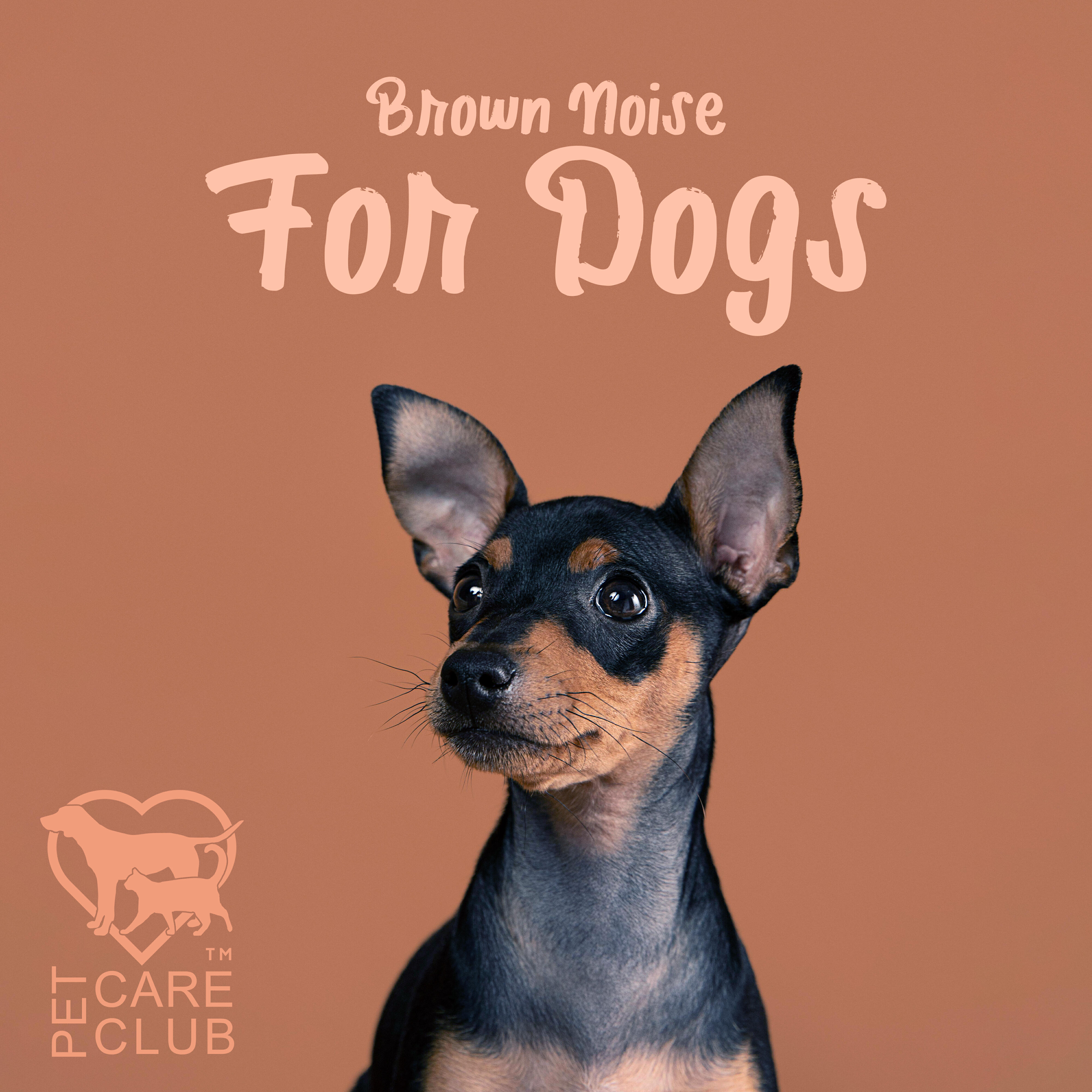 Релиз Brown Noise For Dogs