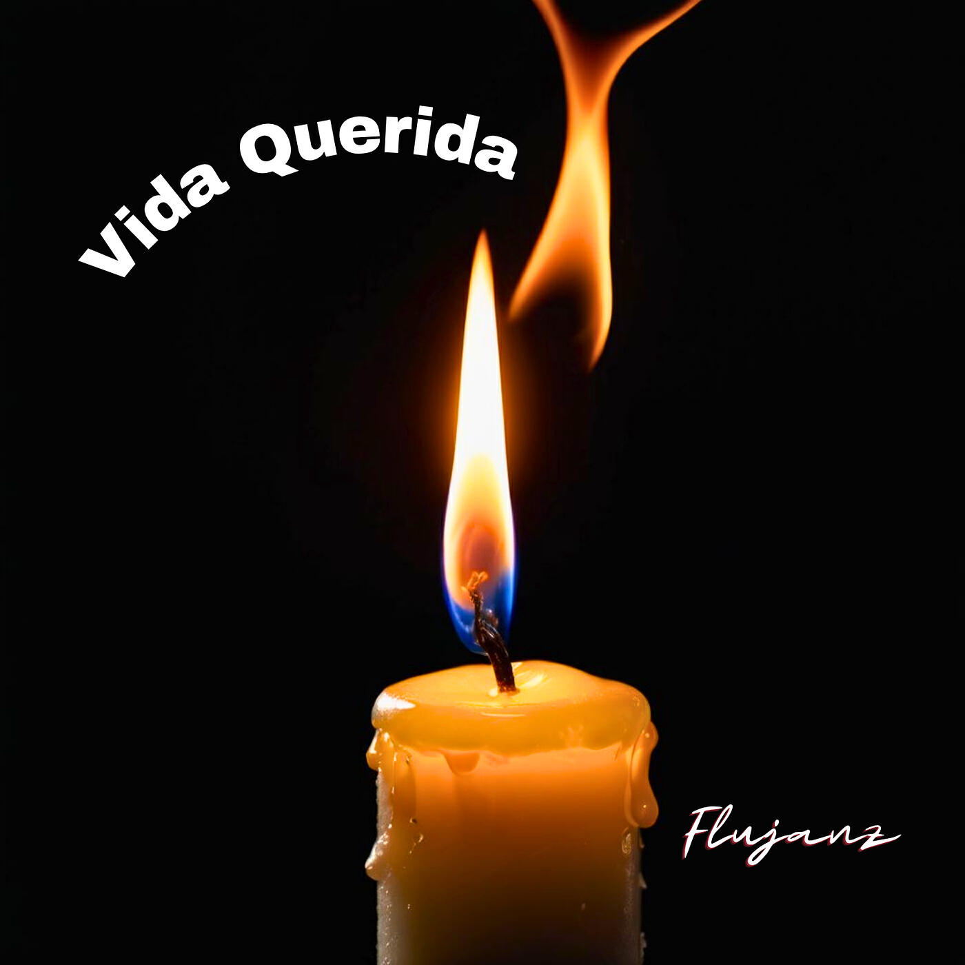 Релиз Vida Querida