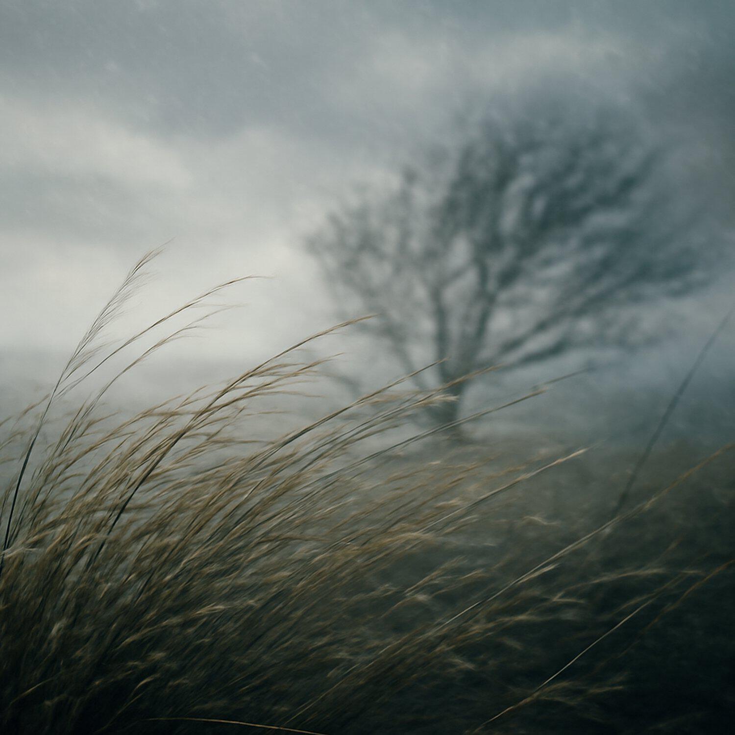 Релиз Wind & Silence