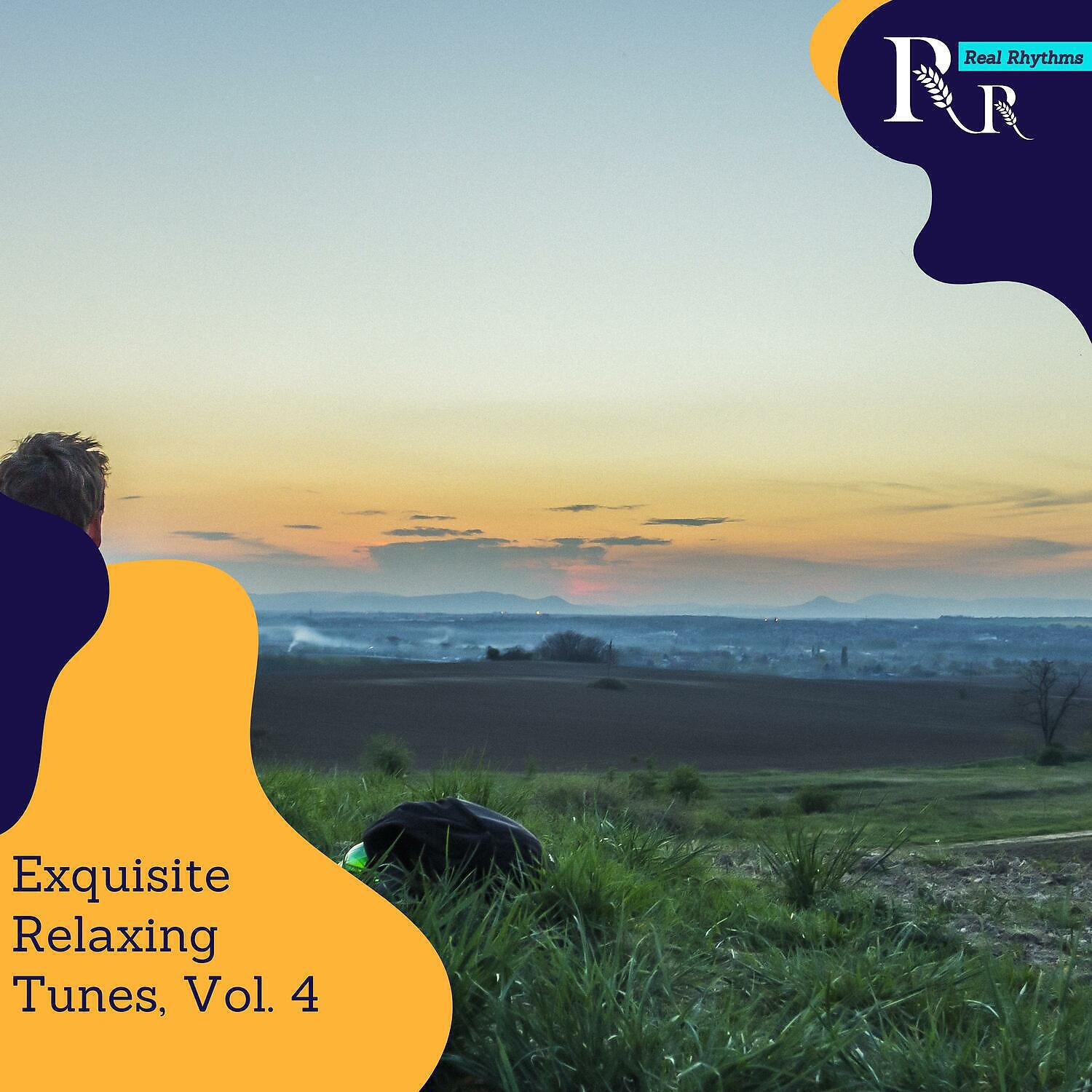 Релиз Exquisite Relaxing Tunes, Vol. 4