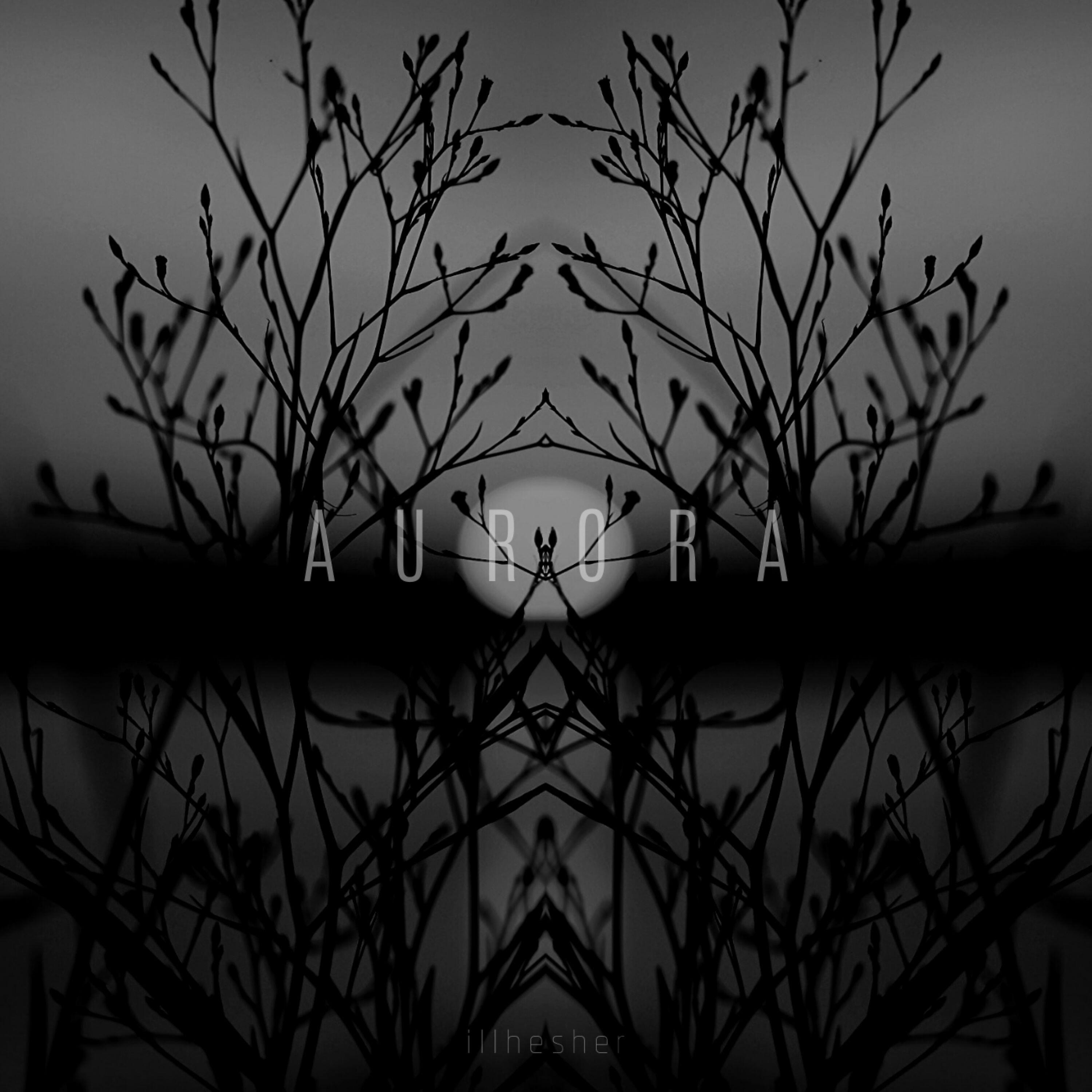 Релиз Aurora