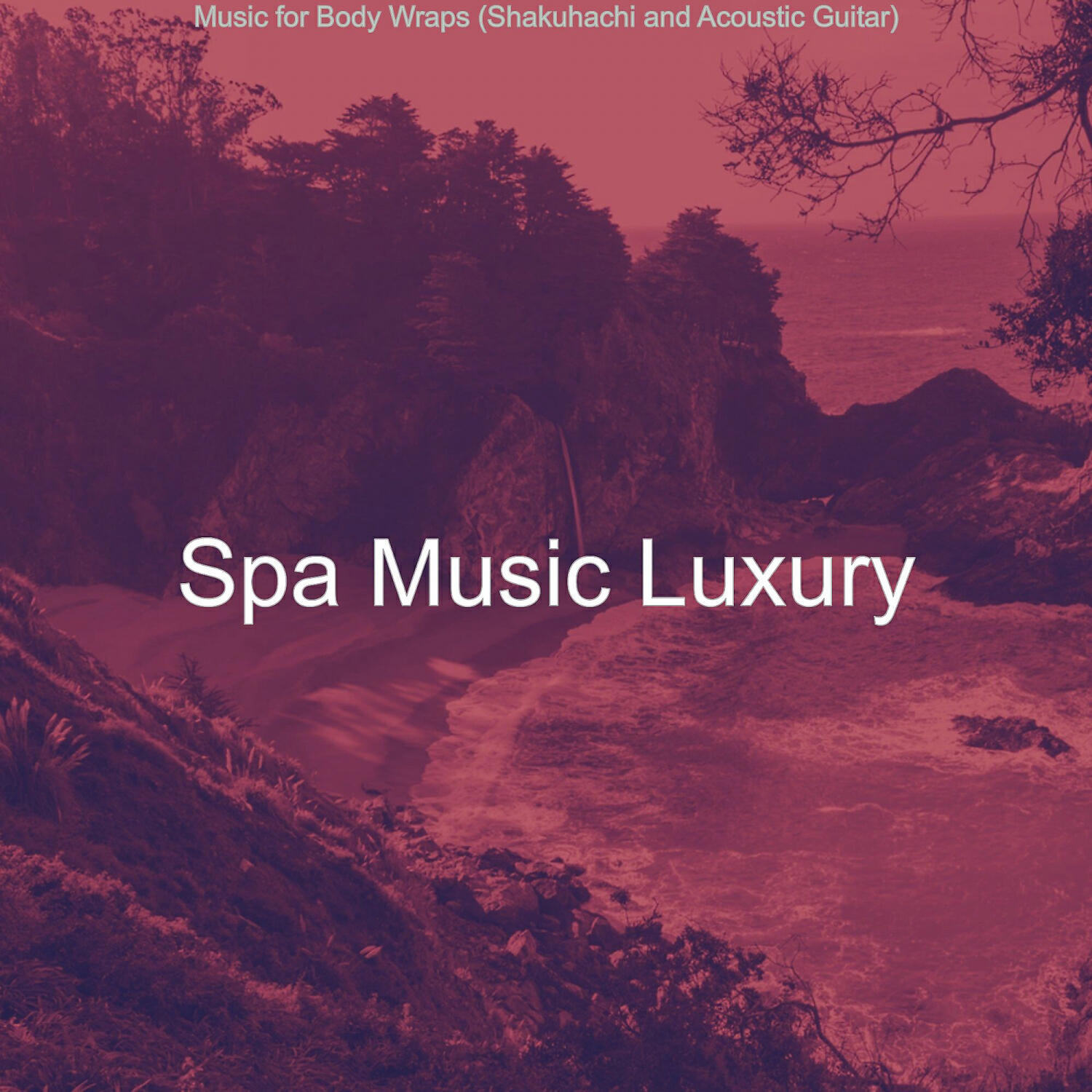 Релиз Music for Body Wraps (Shakuhachi and Acoustic Guitar)