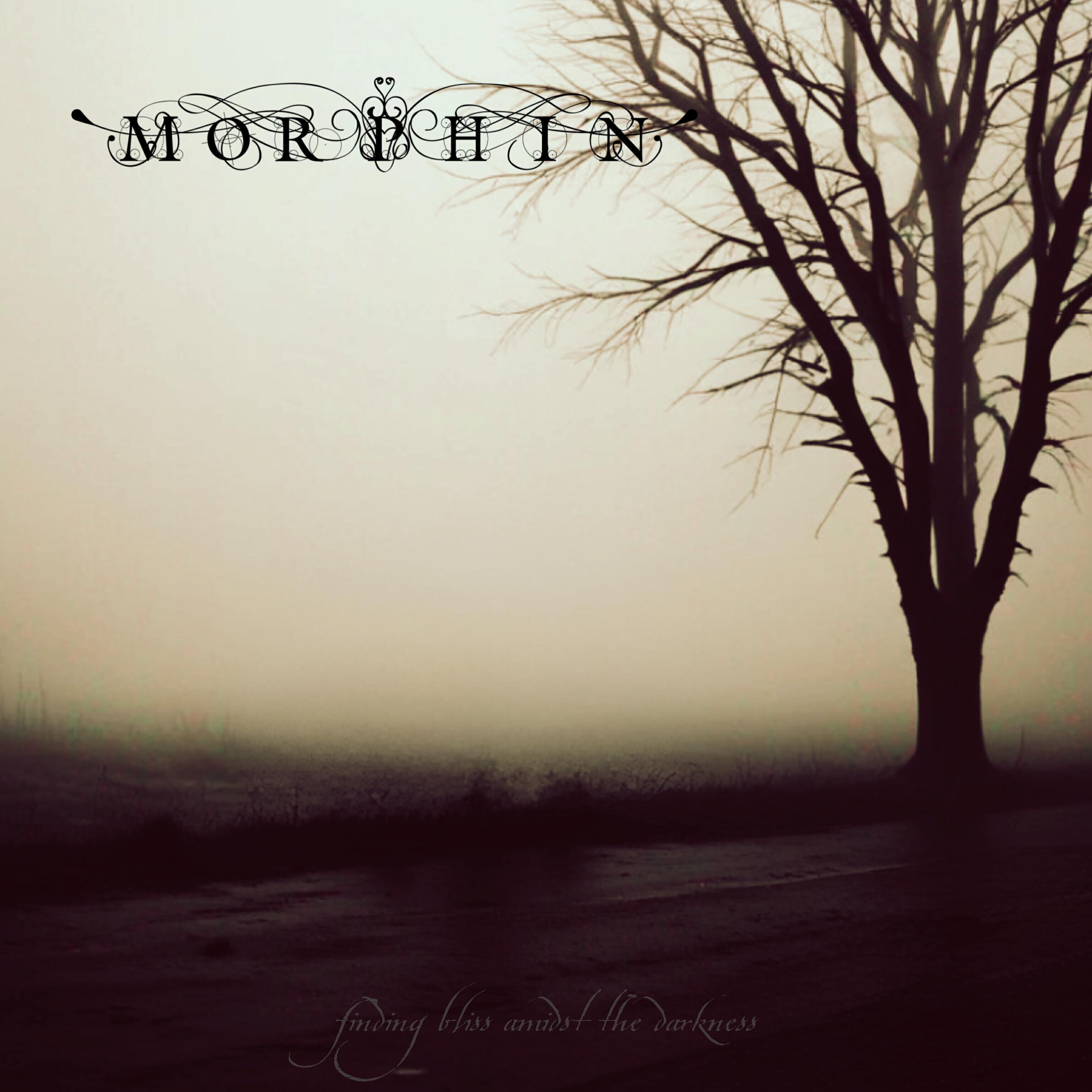 Релиз Finding Bliss Amidst the Darkness
