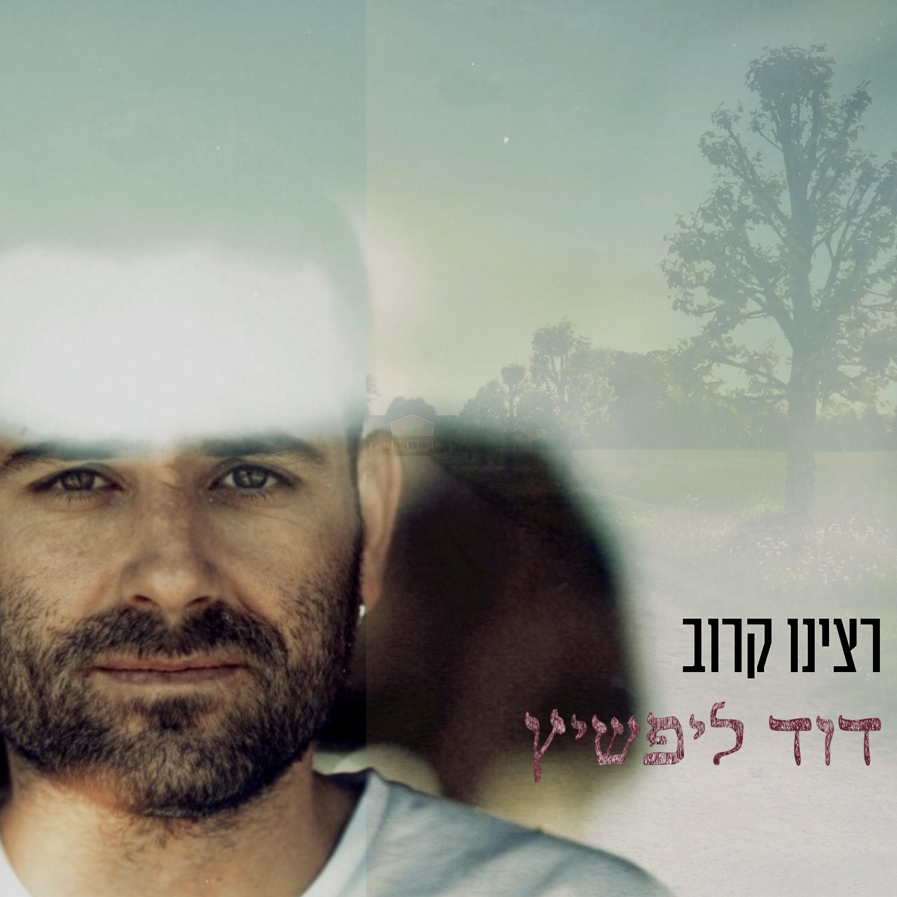 דוד ליפשיץ