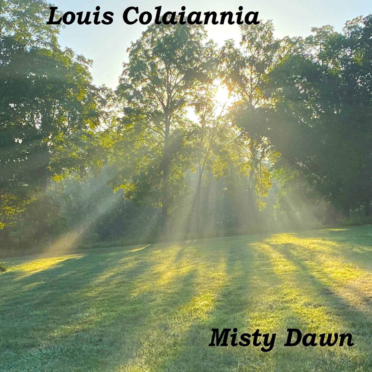 Релиз Misty Dawn