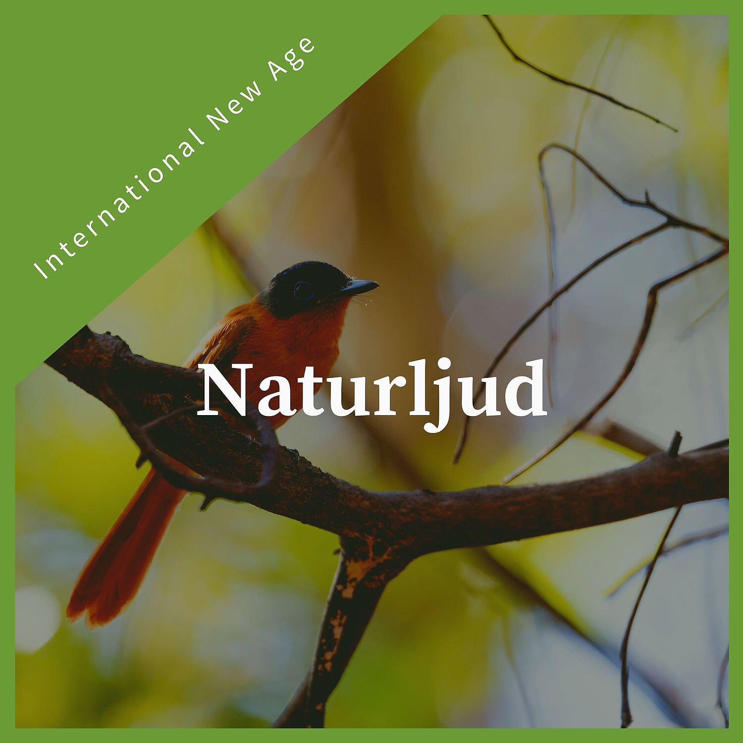 Релиз Naturljud - Lugn new age-musik