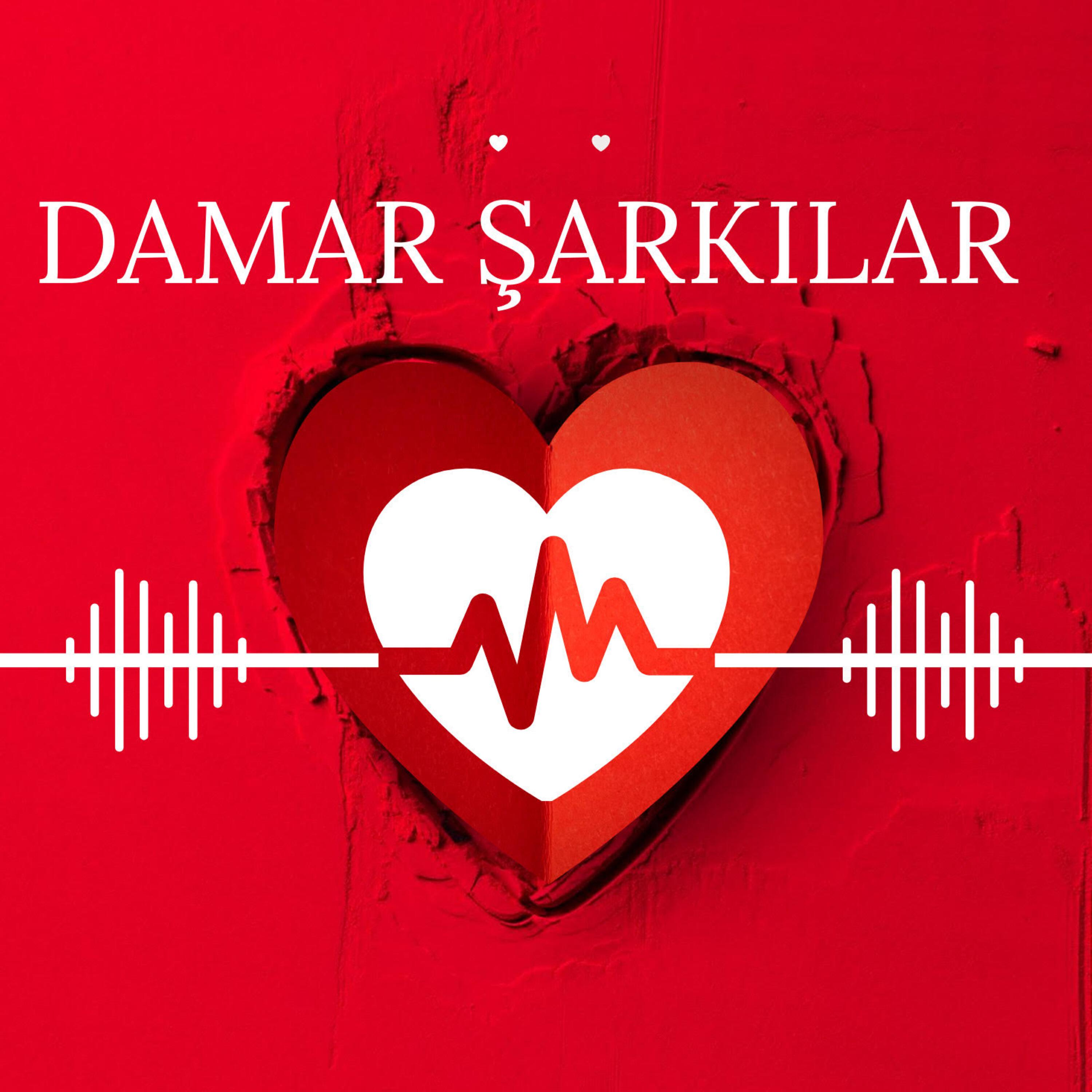 Релиз Damar Şarkılar