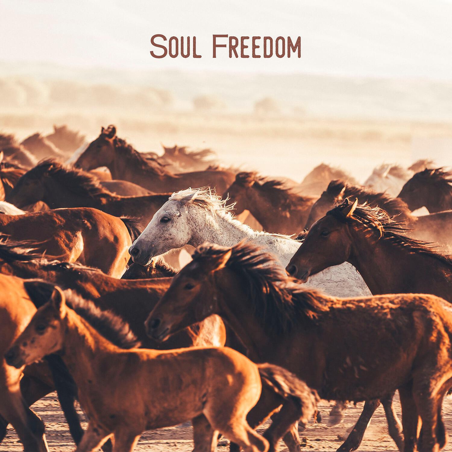 Релиз Soul Freedom
