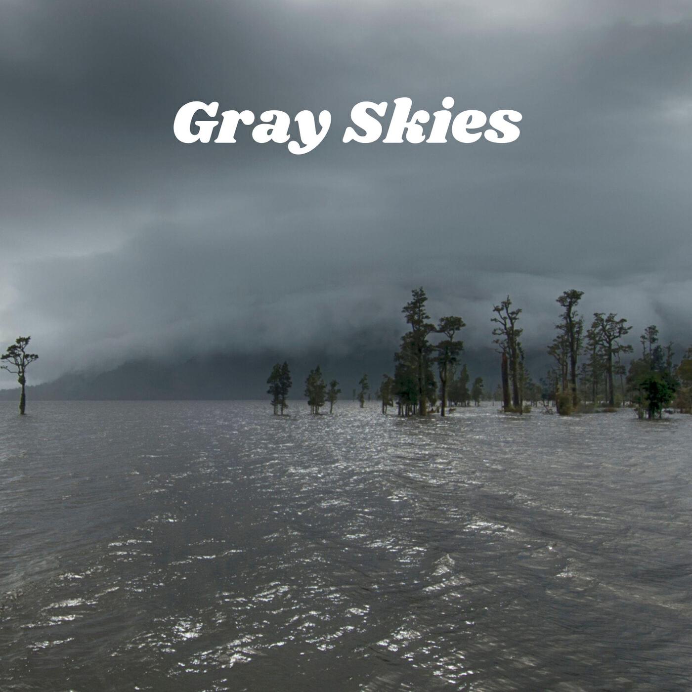 Релиз Gray Skies