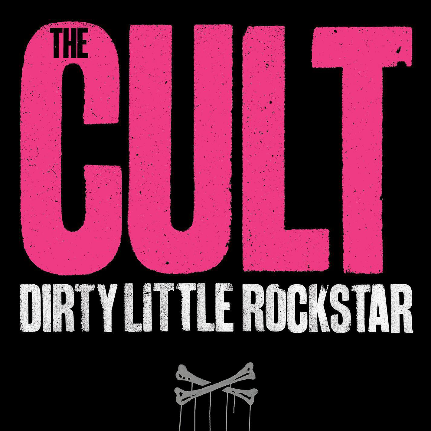 Релиз Dirty Little Rockstar