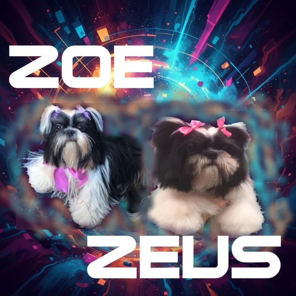 Релиз Zoe and Zeus (Original Mix)