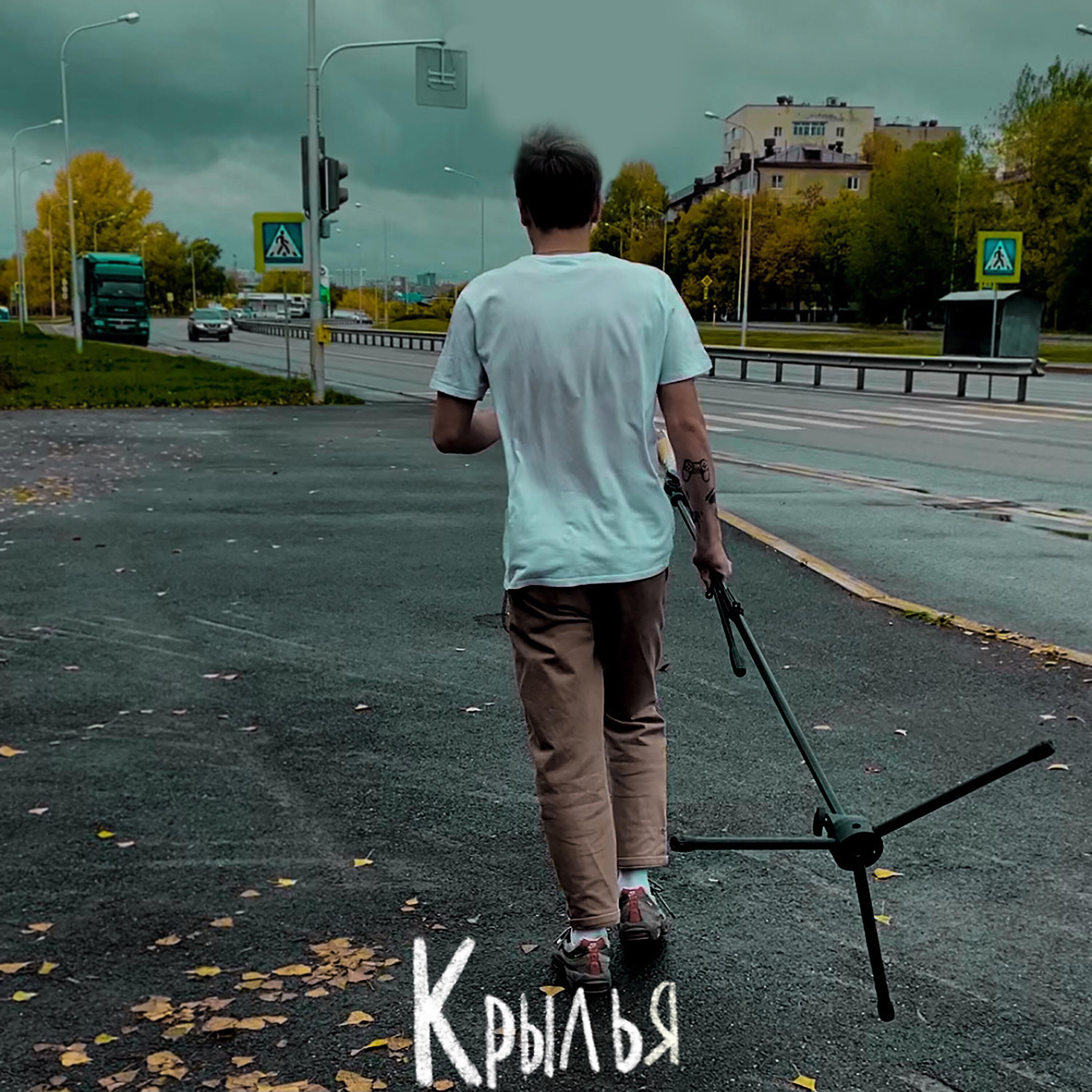 Постер альбома Крылья