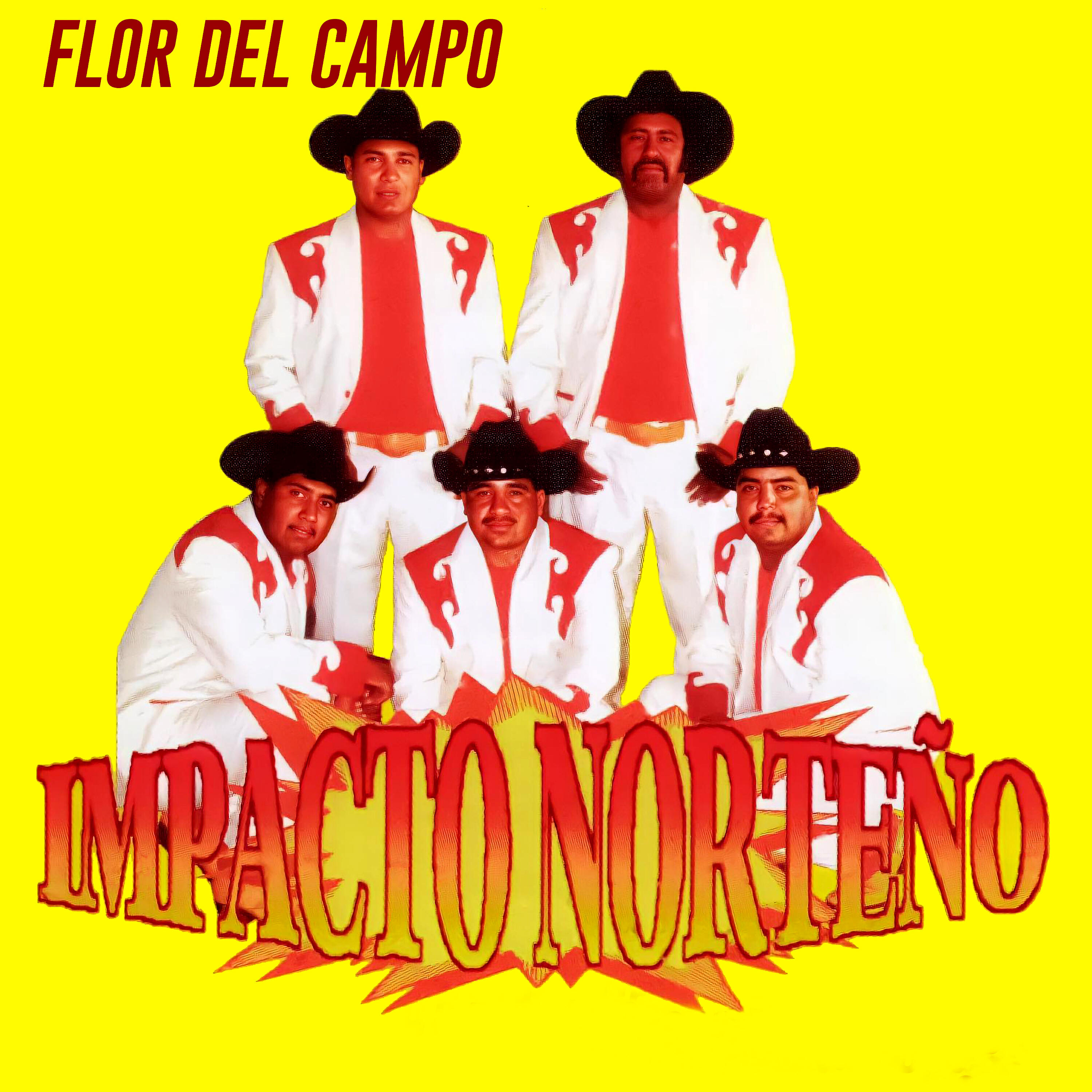 Impacto Norteño