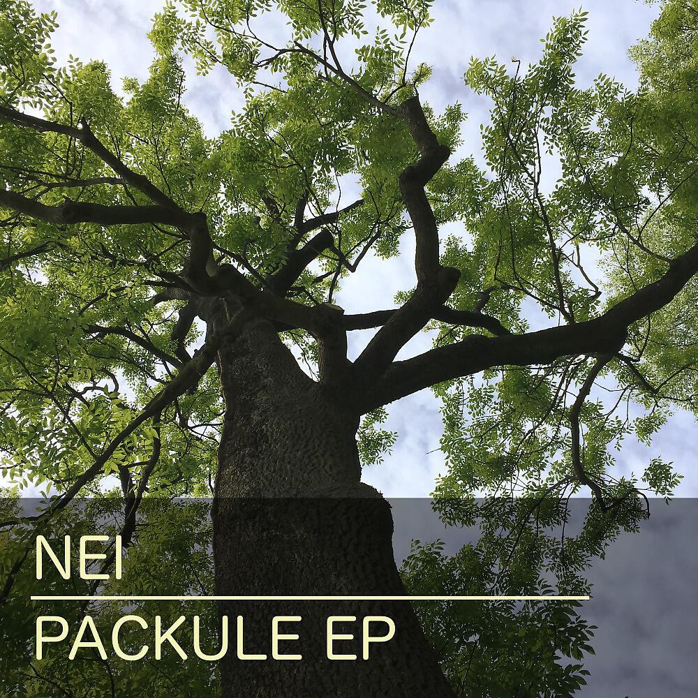 Релиз Packule EP