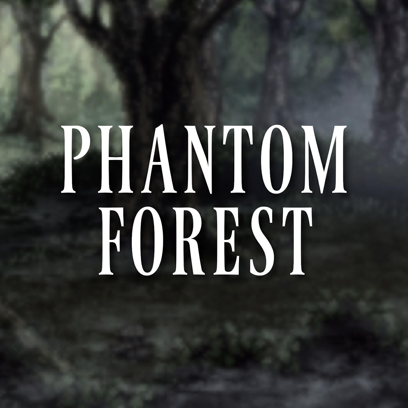 Постер альбома Phantom Forest