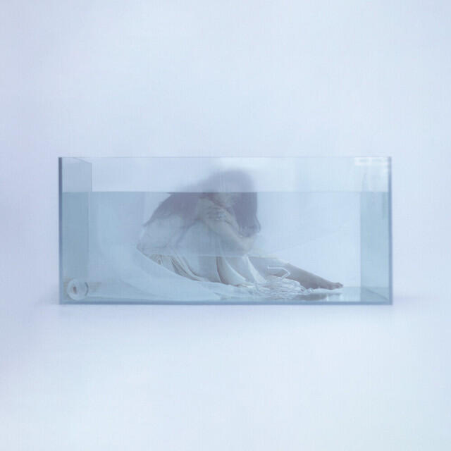 Релиз jellyfish