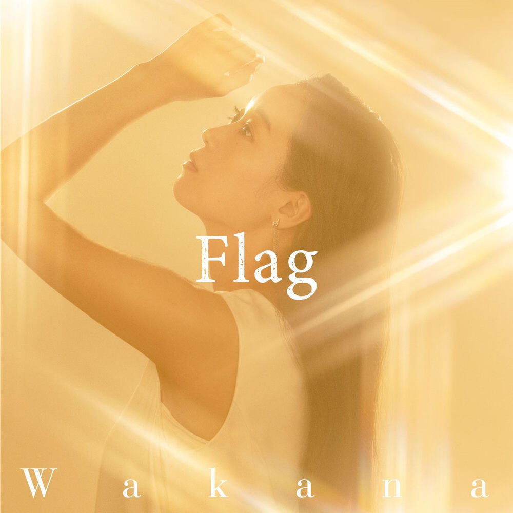 Релиз Flag