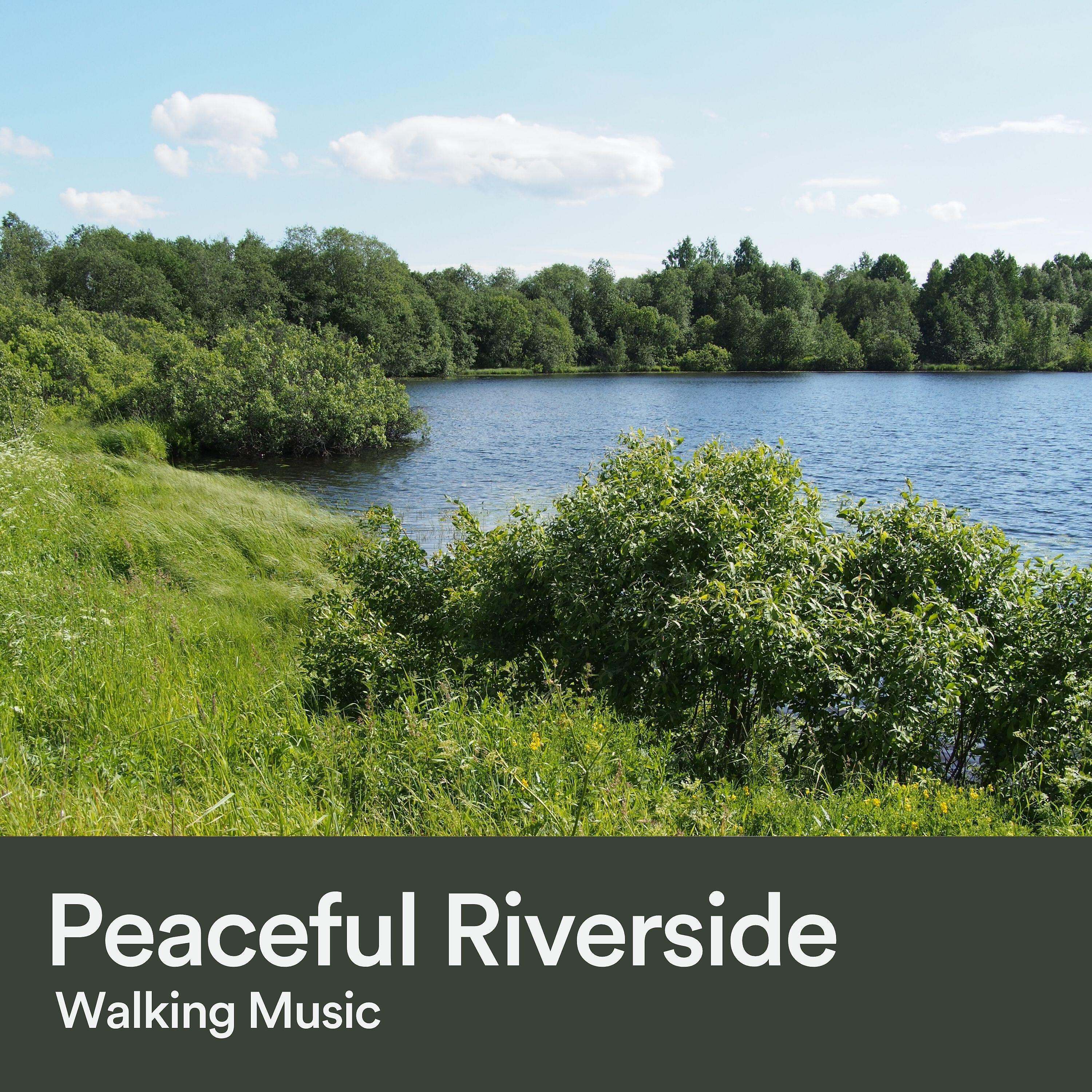 Релиз Peaceful Riverside Walking Music