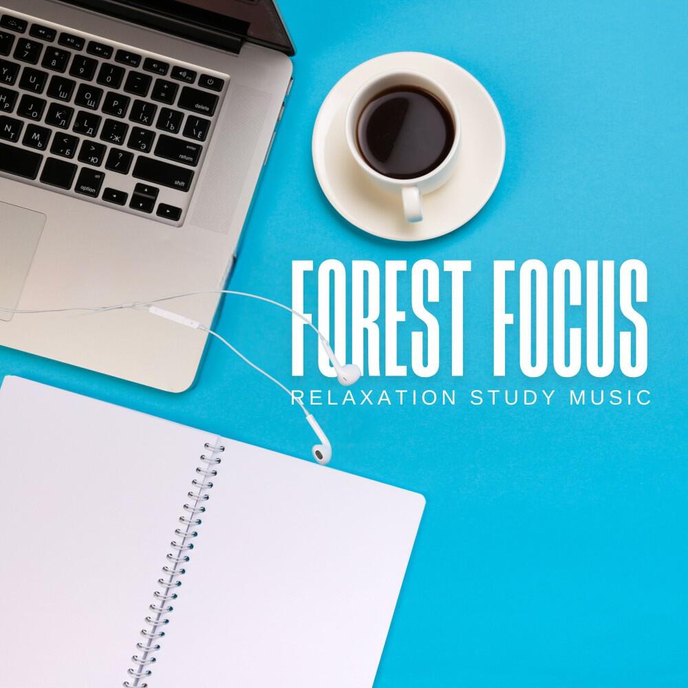 Релиз Forest Focus: Concentration Music