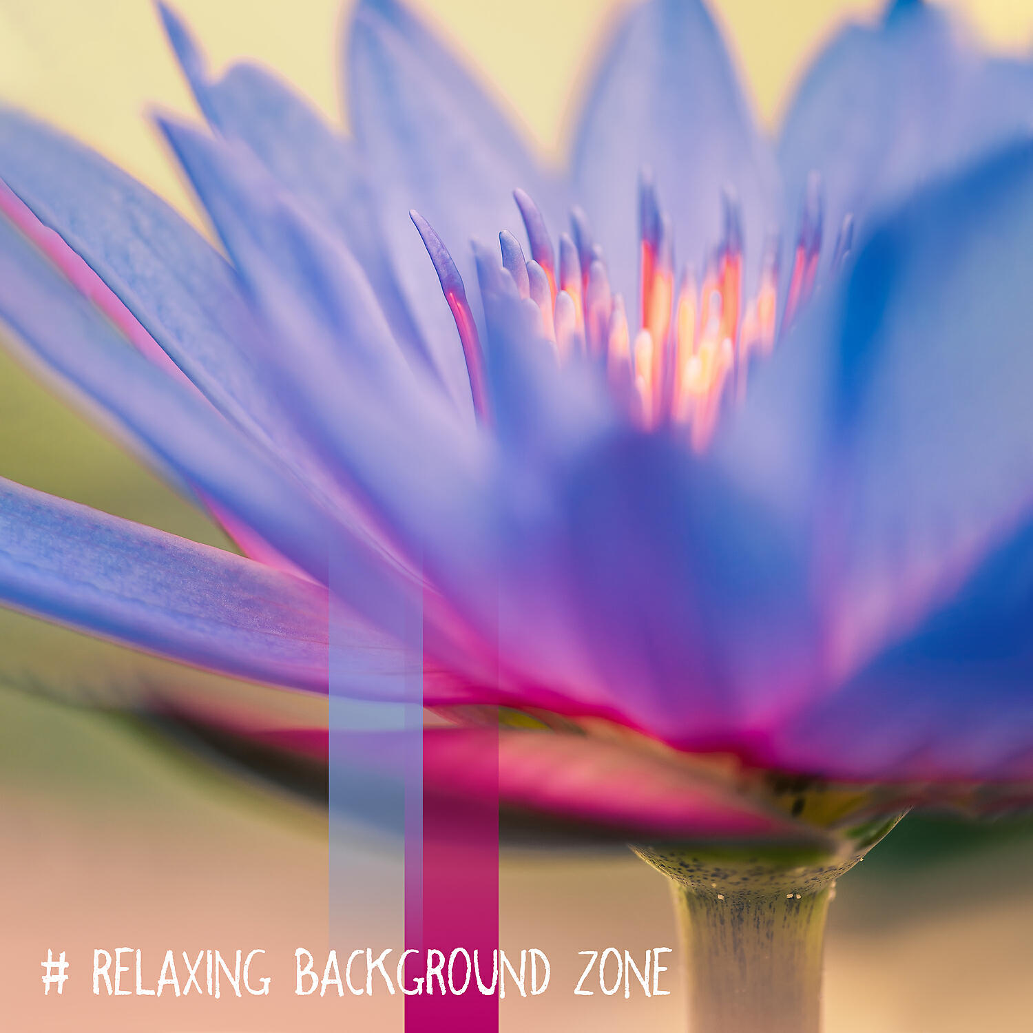 Постер альбома # Relaxing Background Zone: Music Therapy, Yoga & Anti Stress Vibes, Meditation Practice