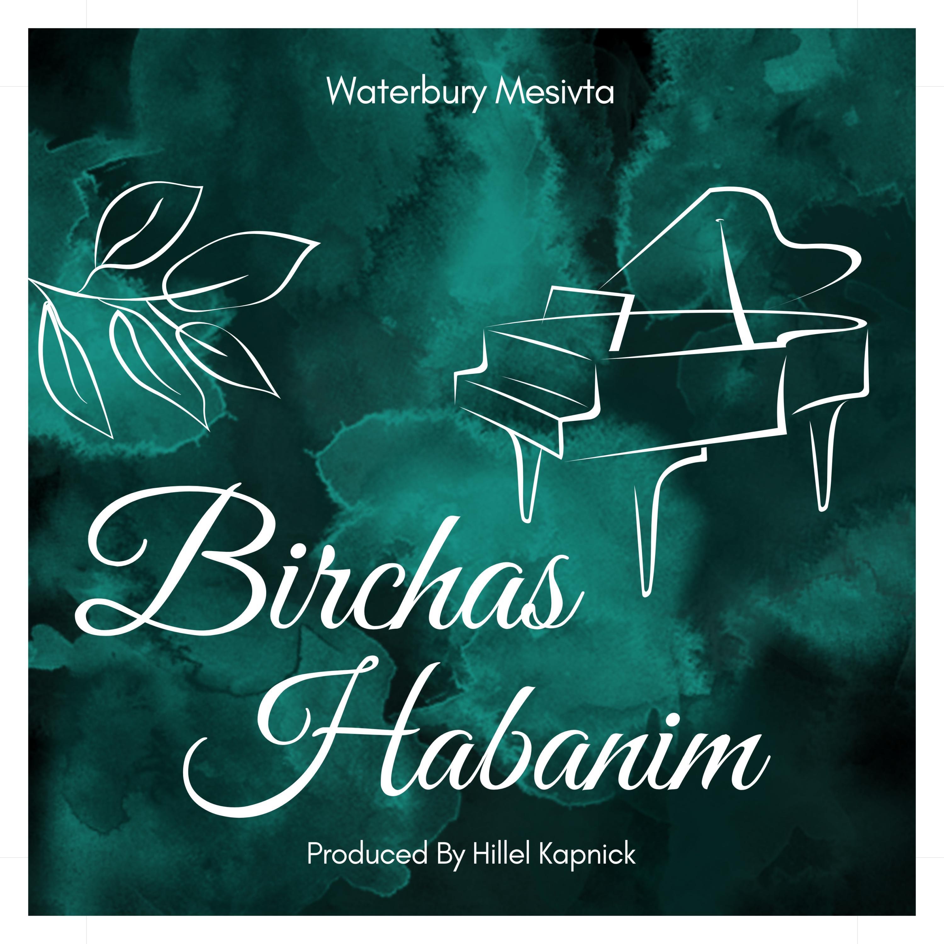 Релиз Birchas Habanim