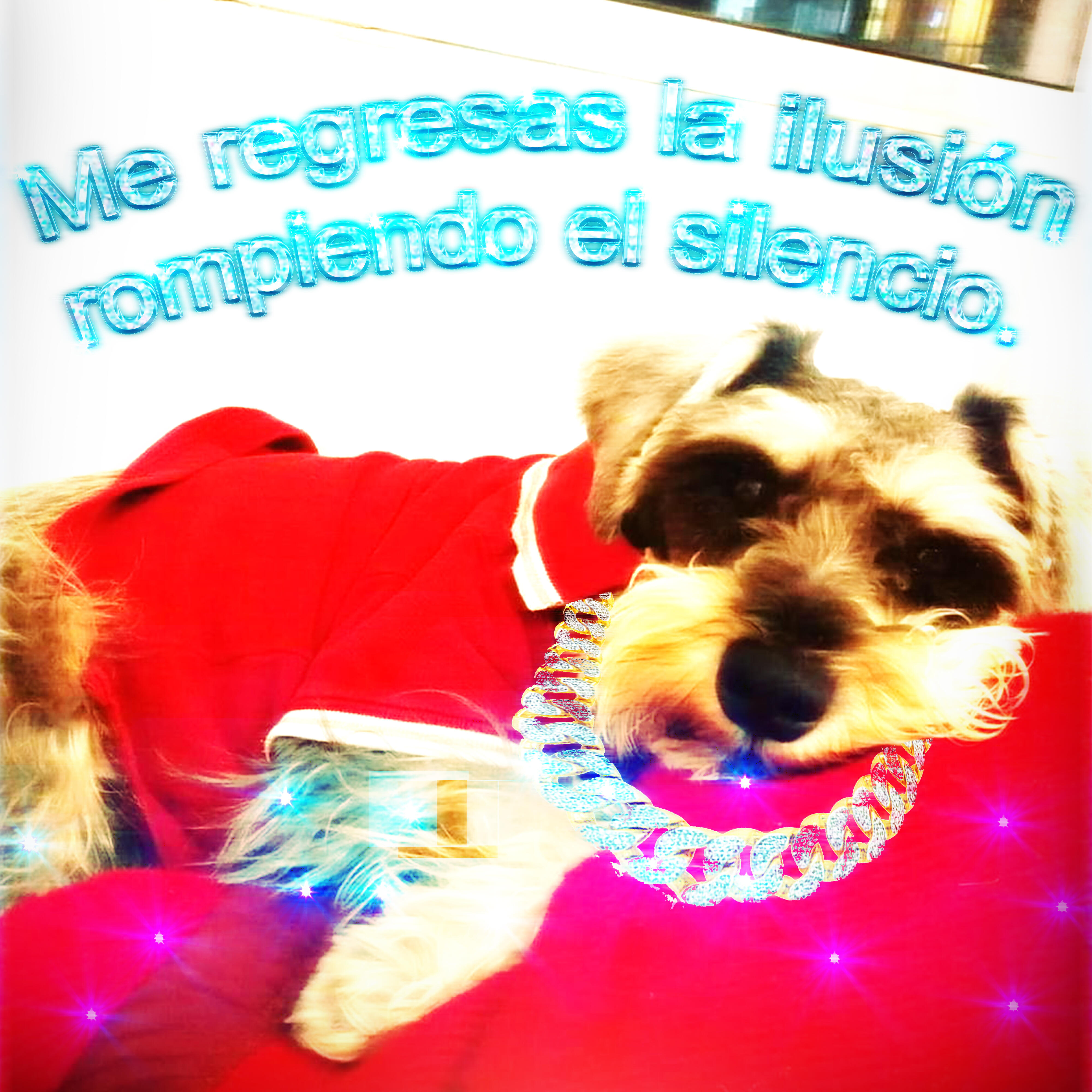 Релиз Me Regresas la Ilusión Rompiendo el Silencio.