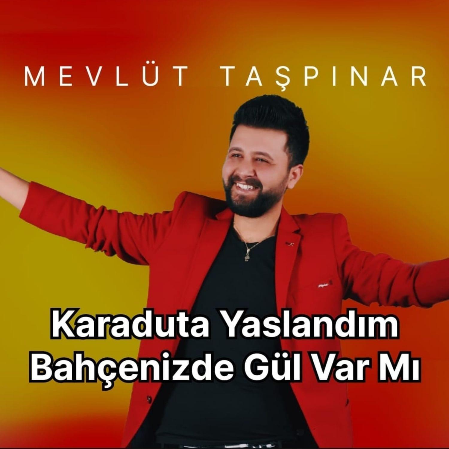 Постер альбома Karaduta Yaslandım / Bahçenizde Gül Var Mı