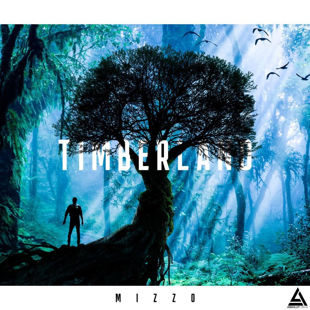 Релиз Timberland